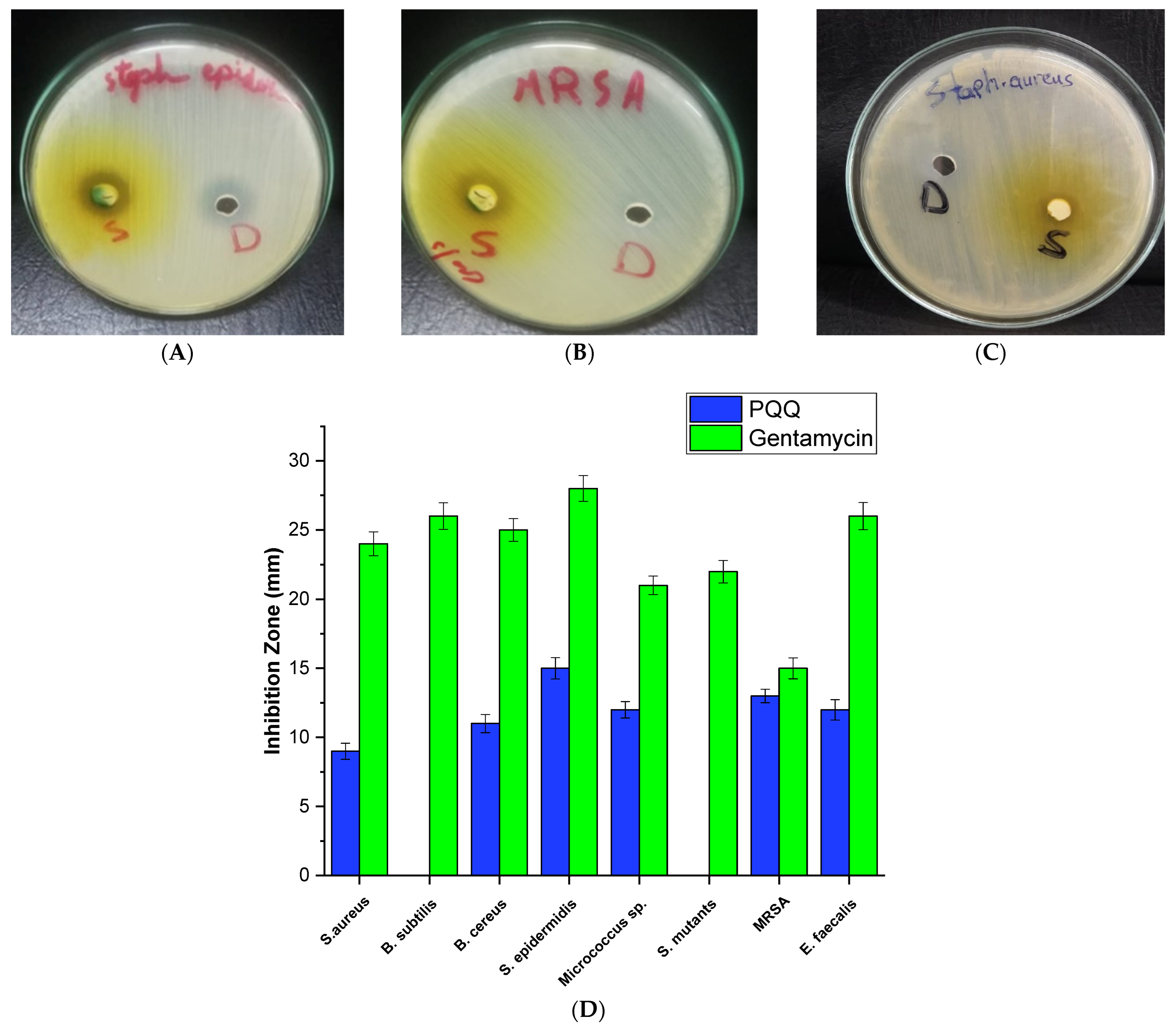 Biomolecules 14 01018 g002