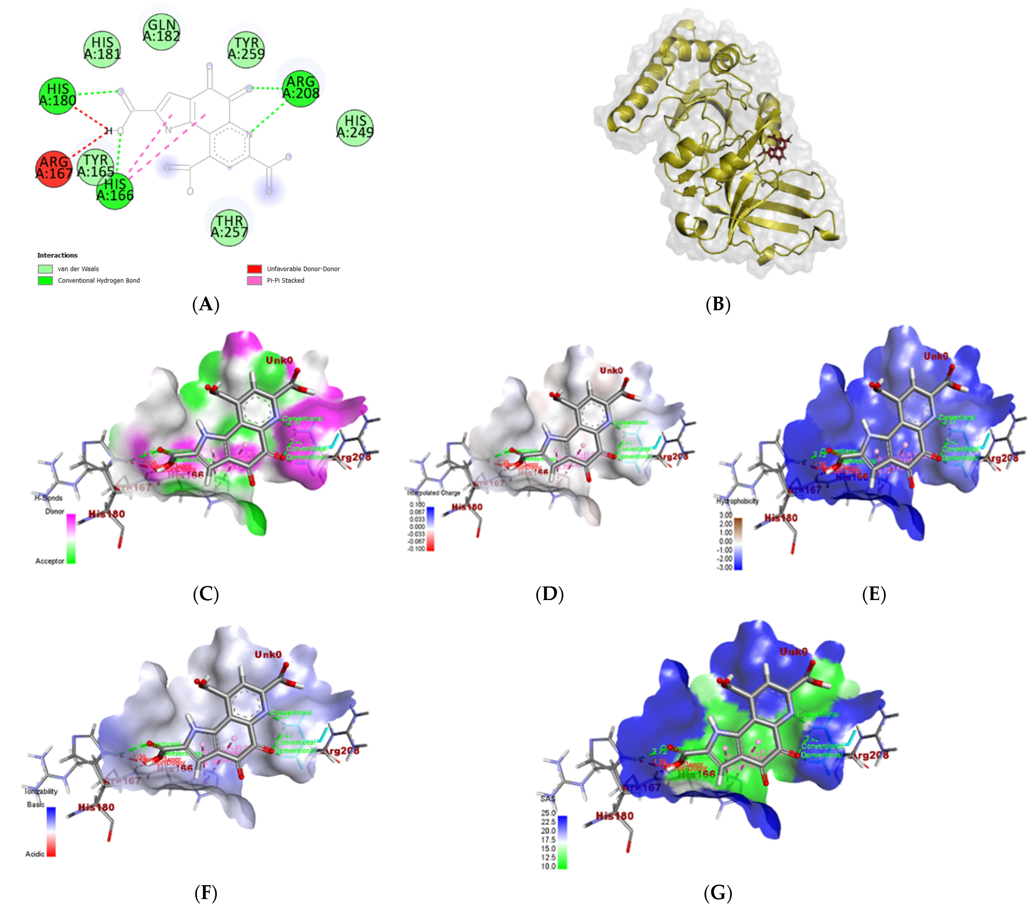 Biomolecules 14 01018 g009