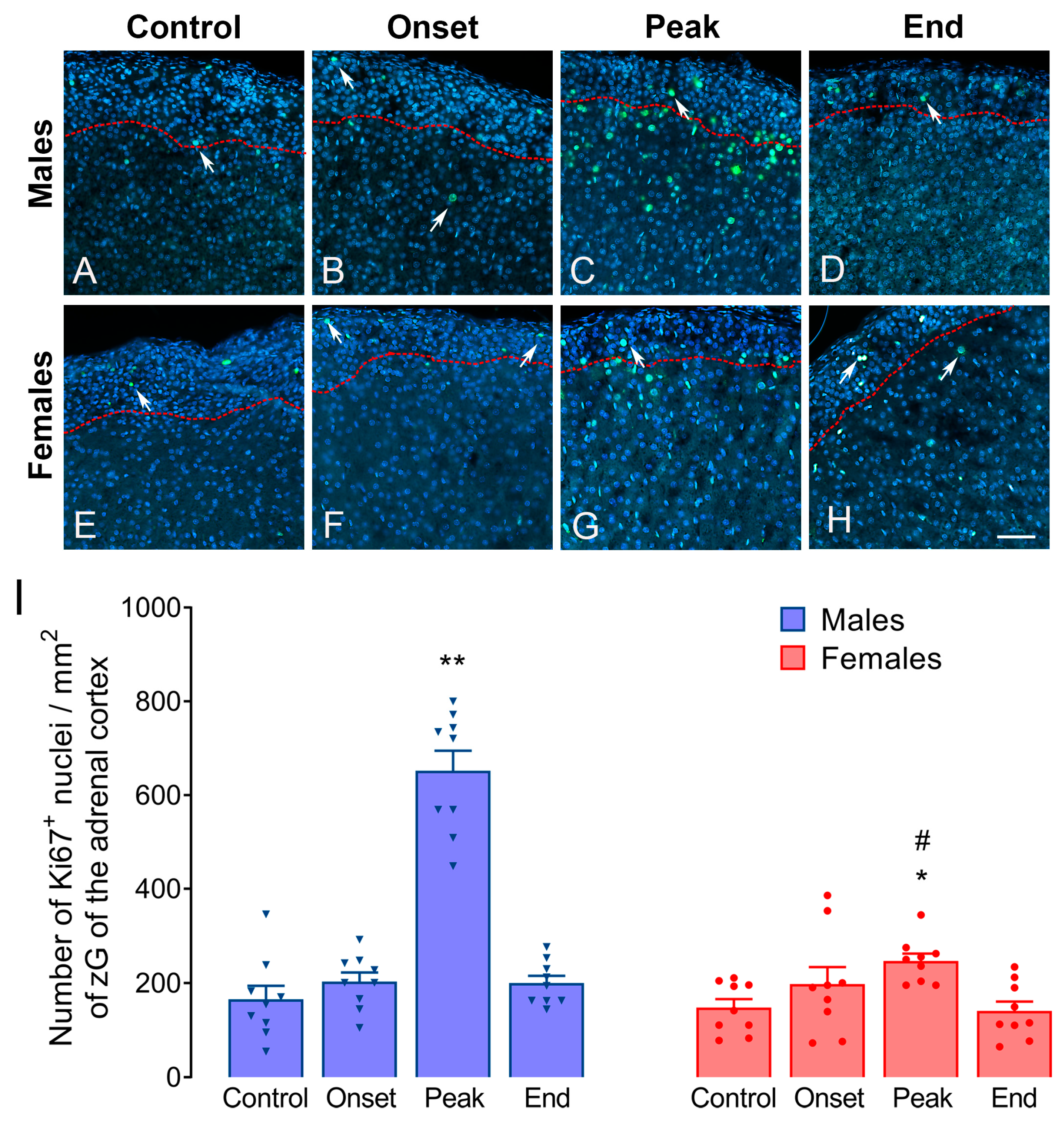 Biomolecules 14 01020 g001