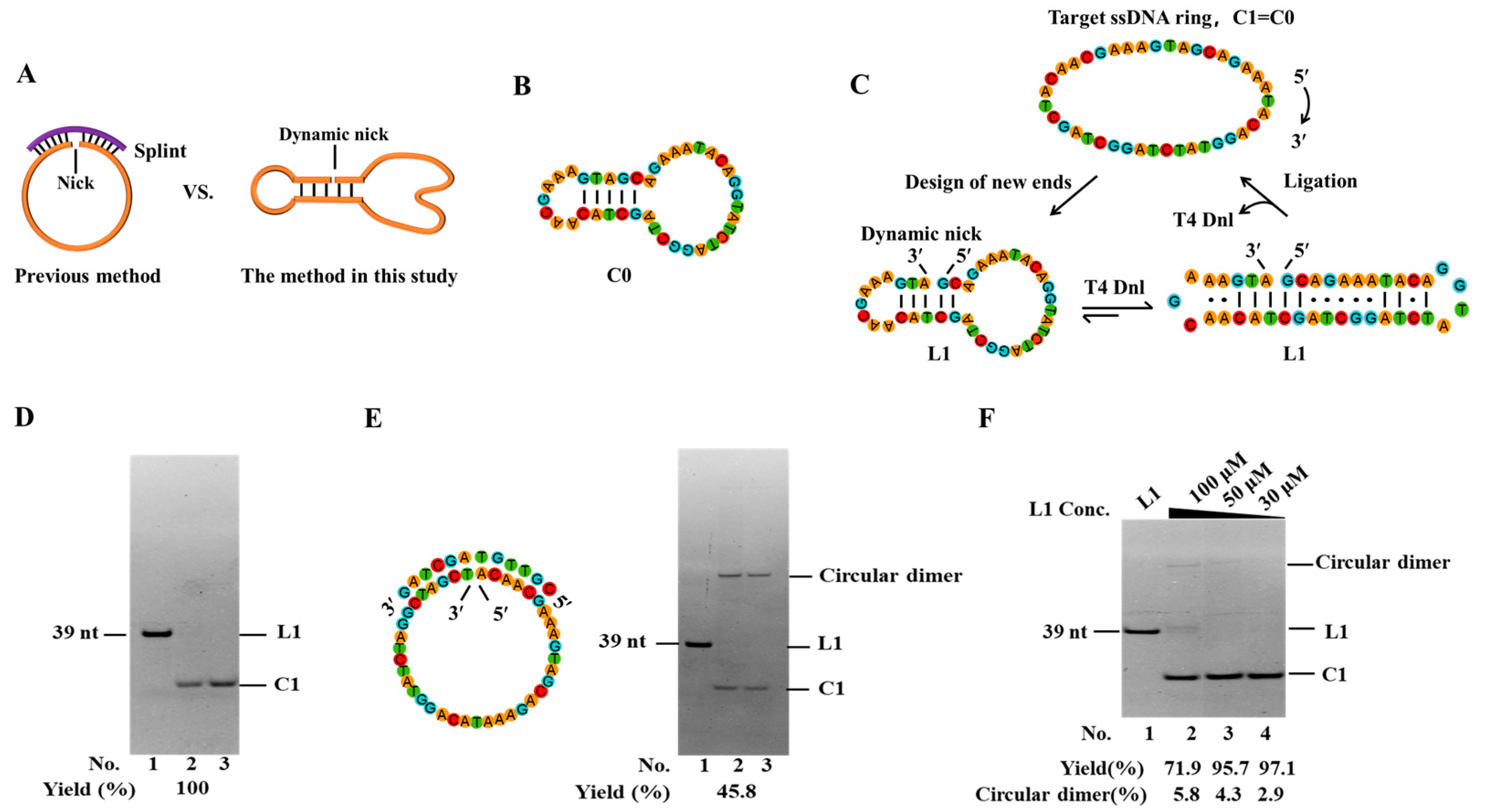 Biomolecules 14 01027 g001 Biomolecules 14 01027 g001