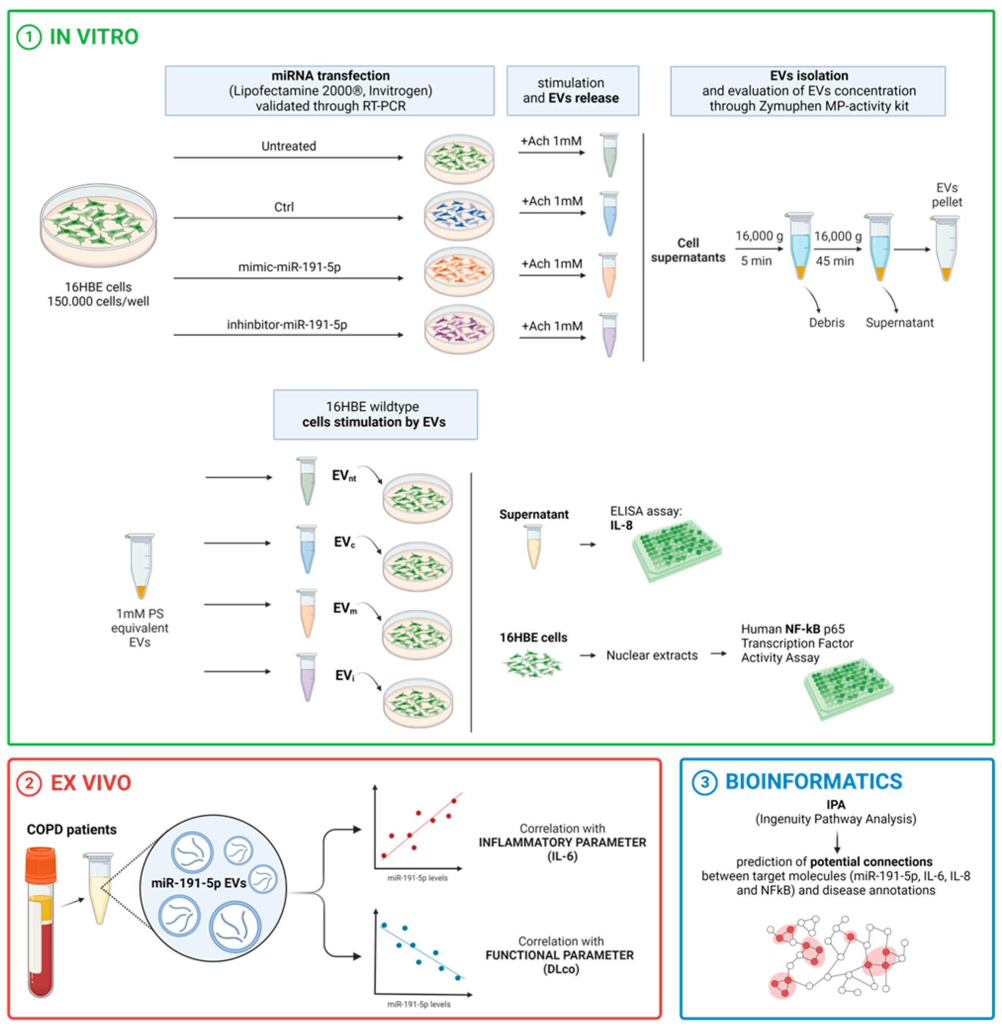 Biomolecules 14 01030 g001 Biomolecules 14 01030 g001