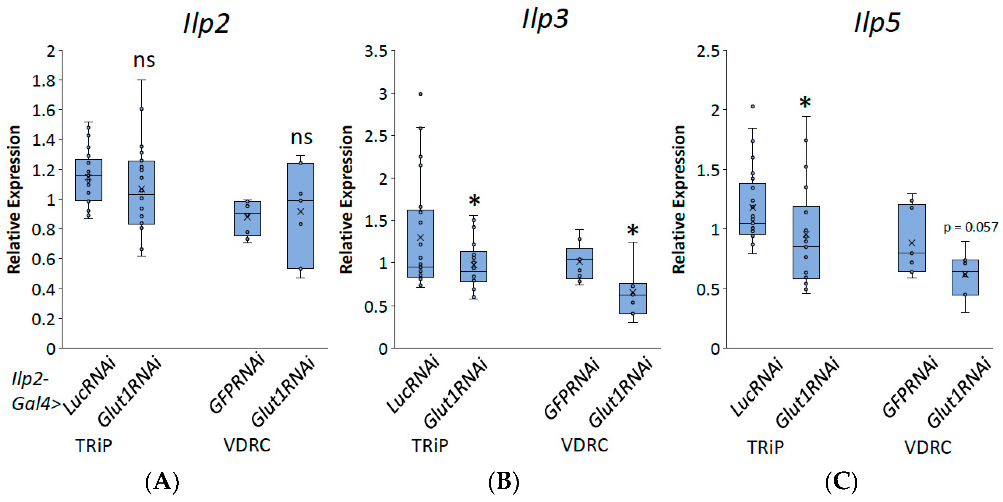 Biomolecules 14 01037 g005 Biomolecules 14 01037 g005