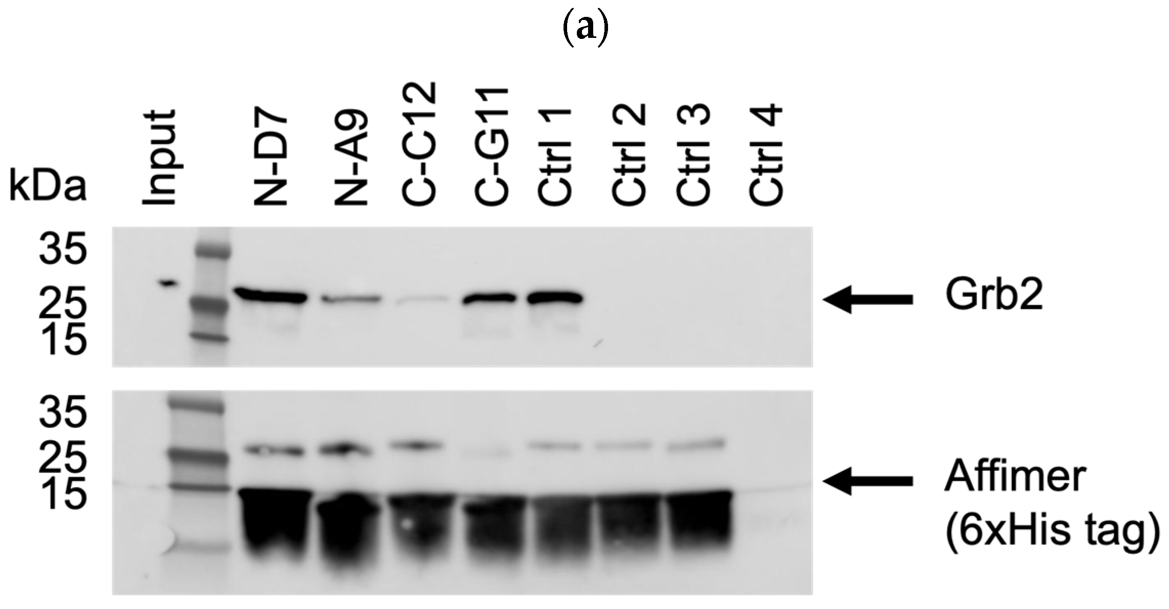 Biomolecules 14 01040 g006a