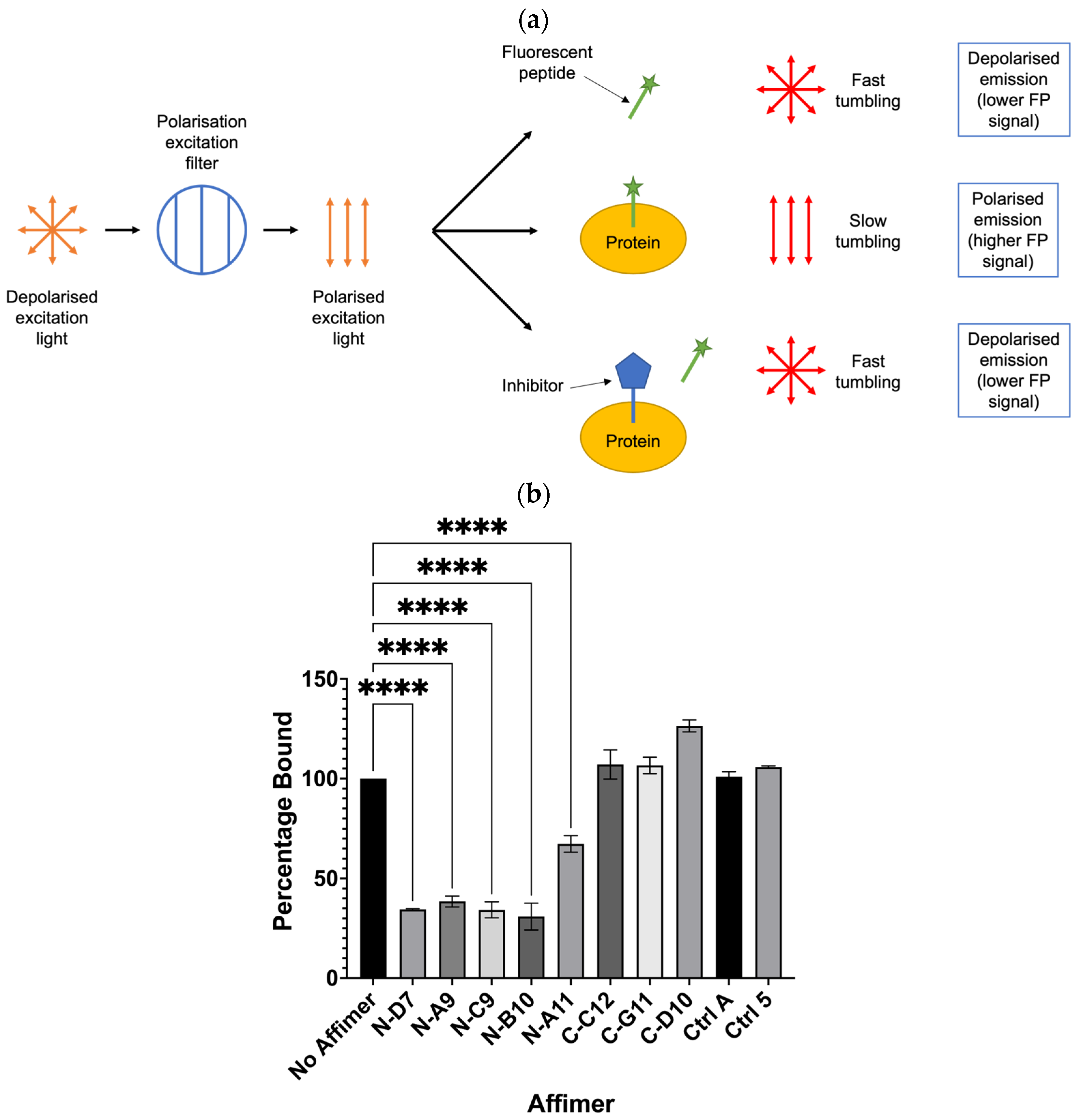 Biomolecules 14 01040 g008