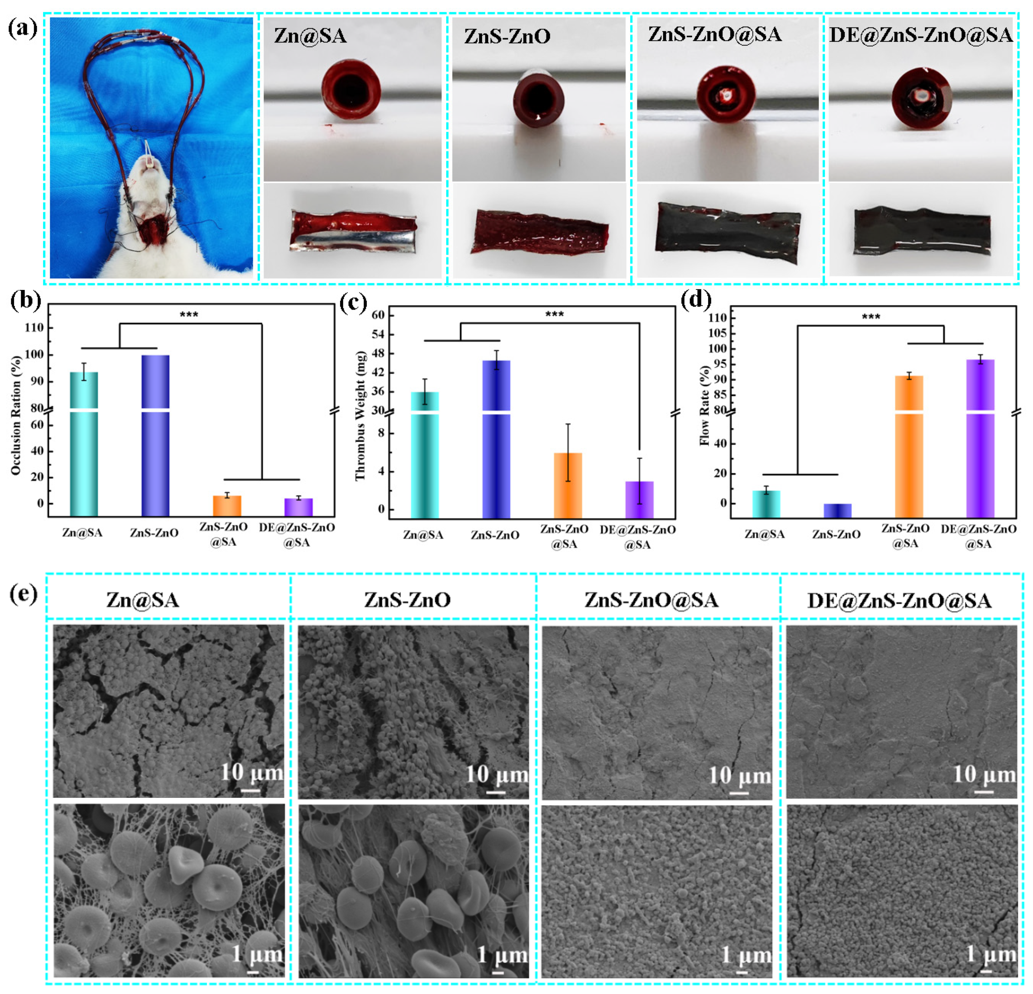 Biomolecules 14 01041 g008