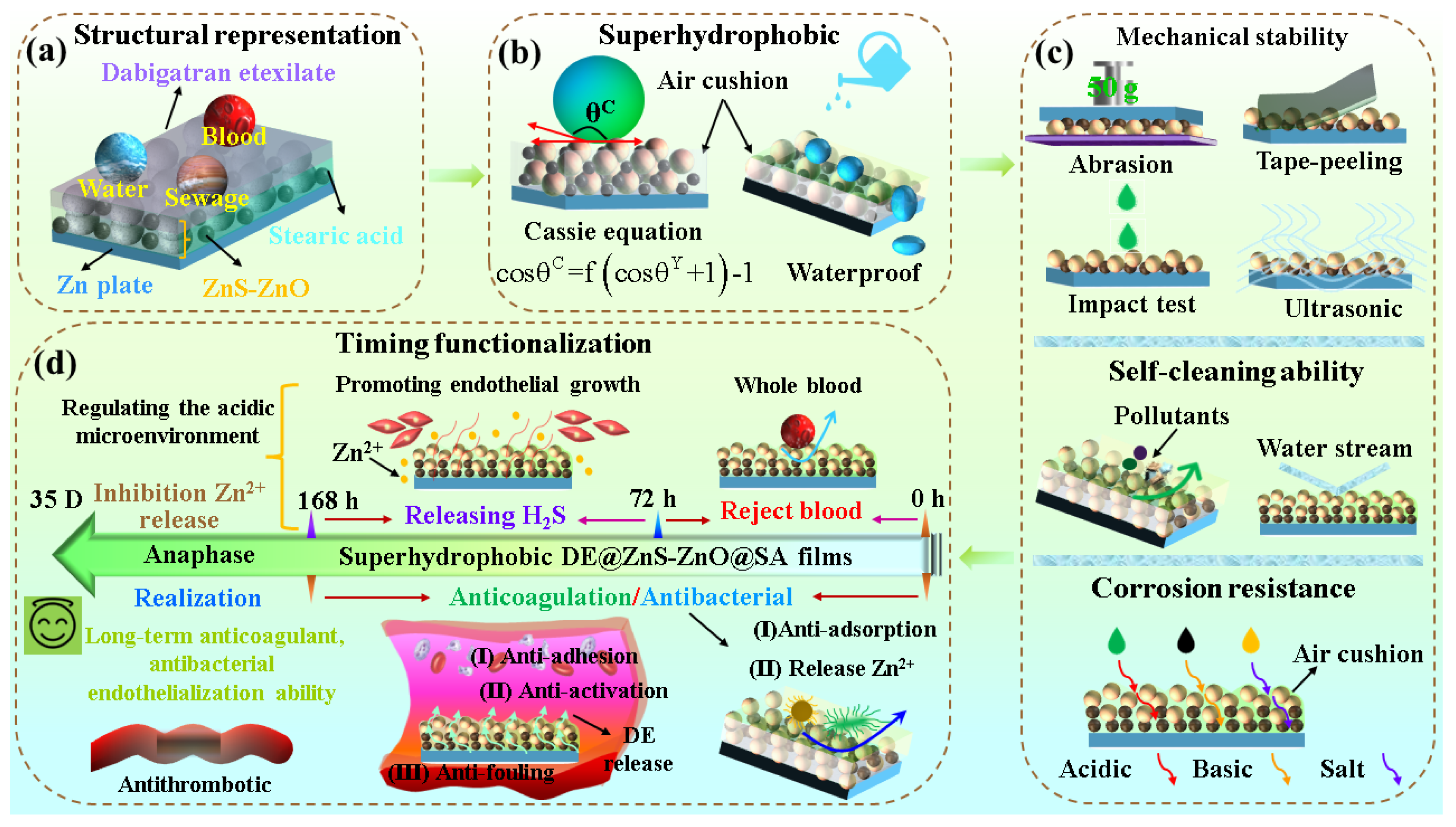 Biomolecules 14 01041 g010