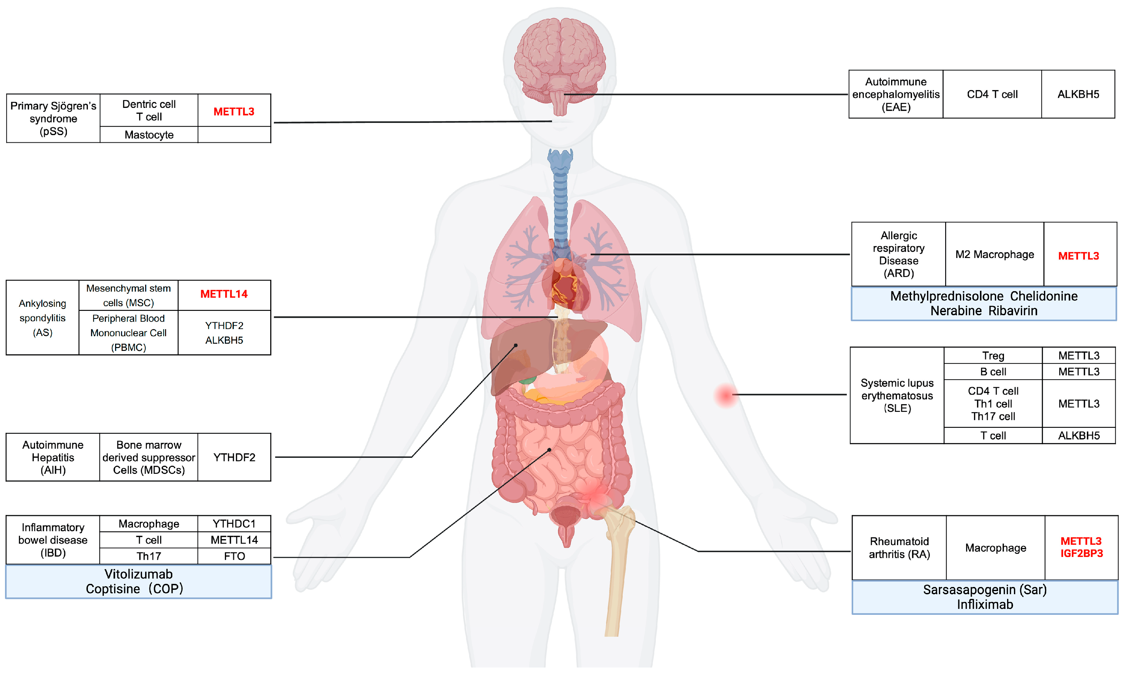 Biomolecules 14 01042 g003