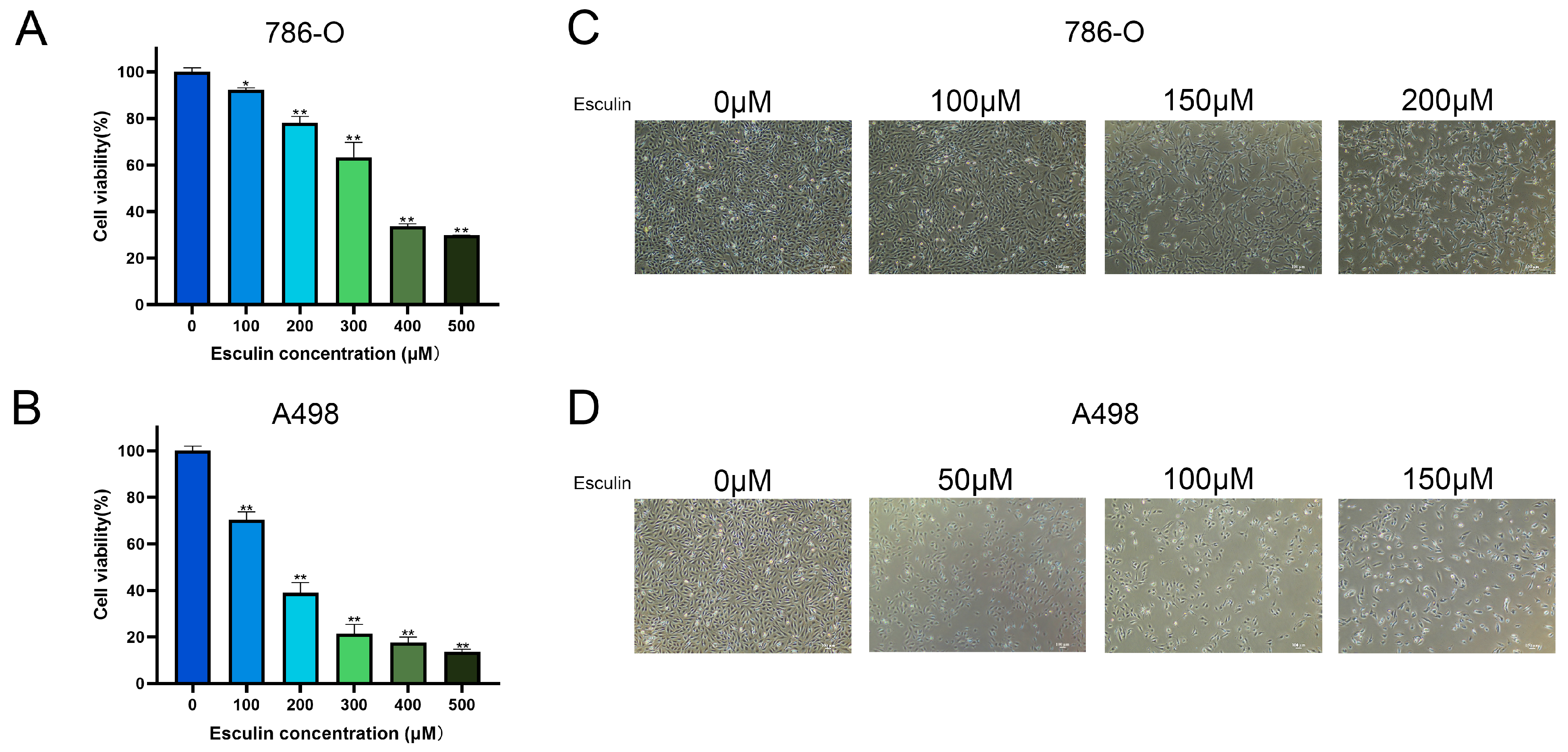Biomolecules 14 01043 g003