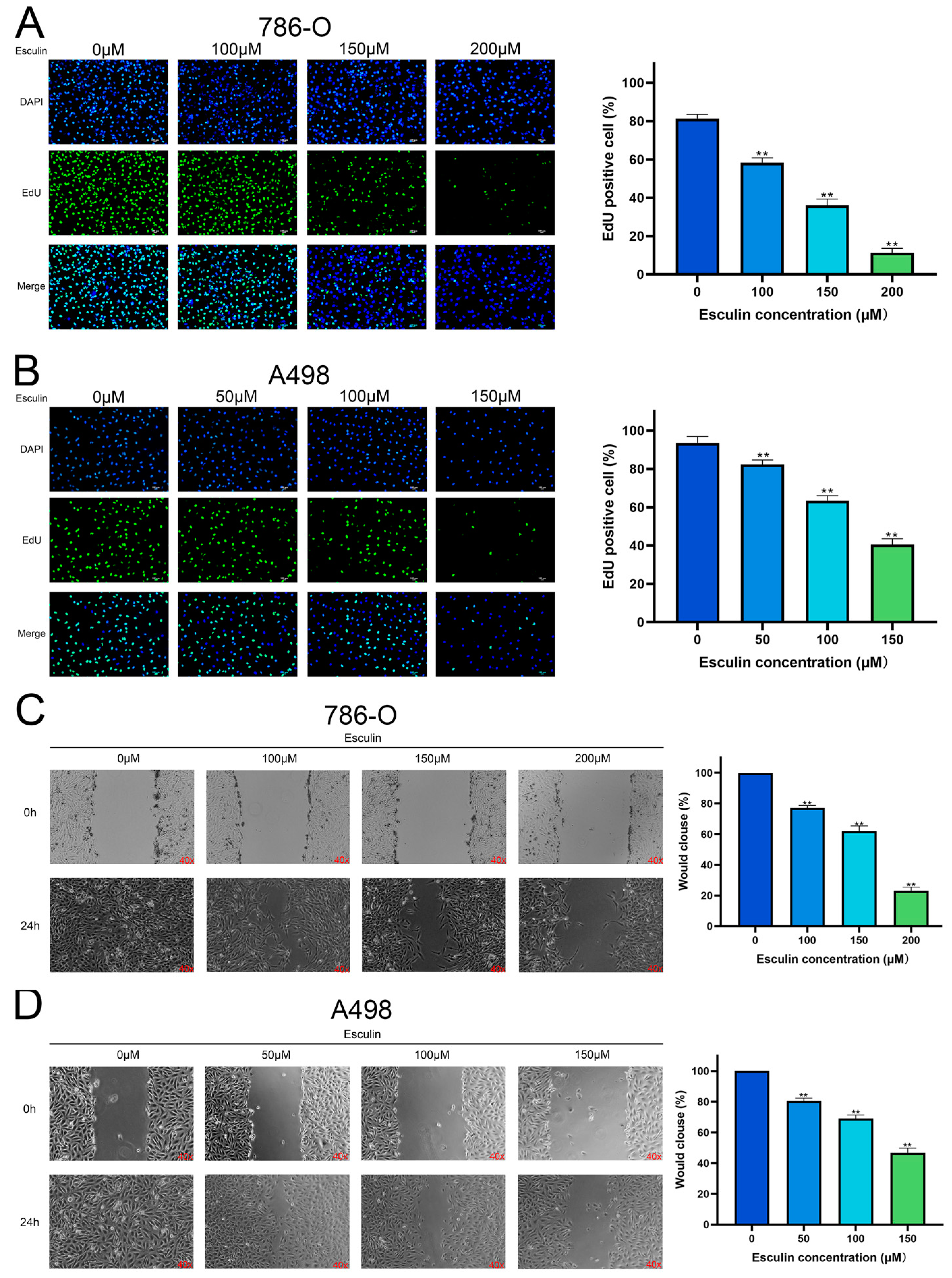 Biomolecules 14 01043 g004