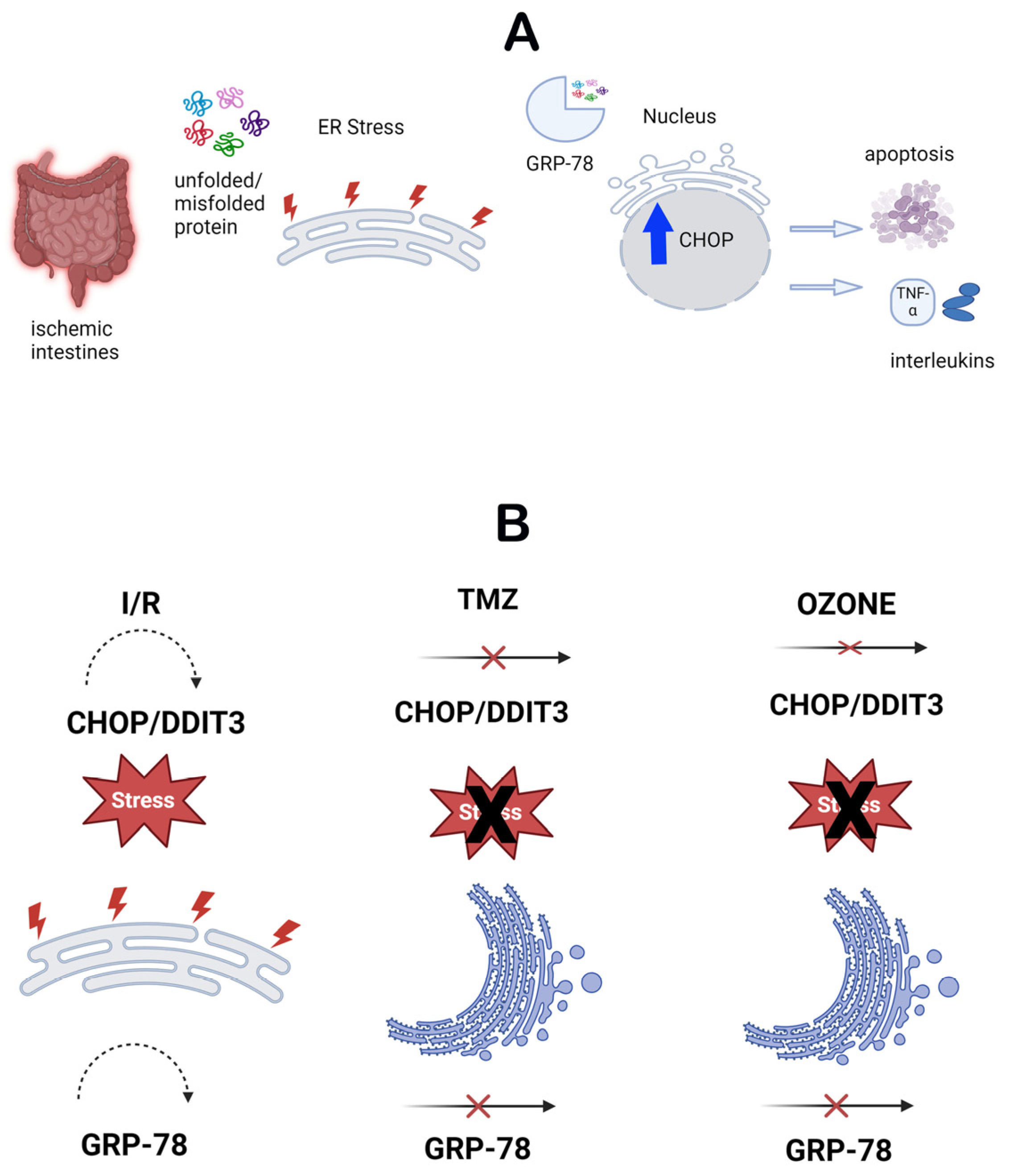 Biomolecules 14 01051 g005