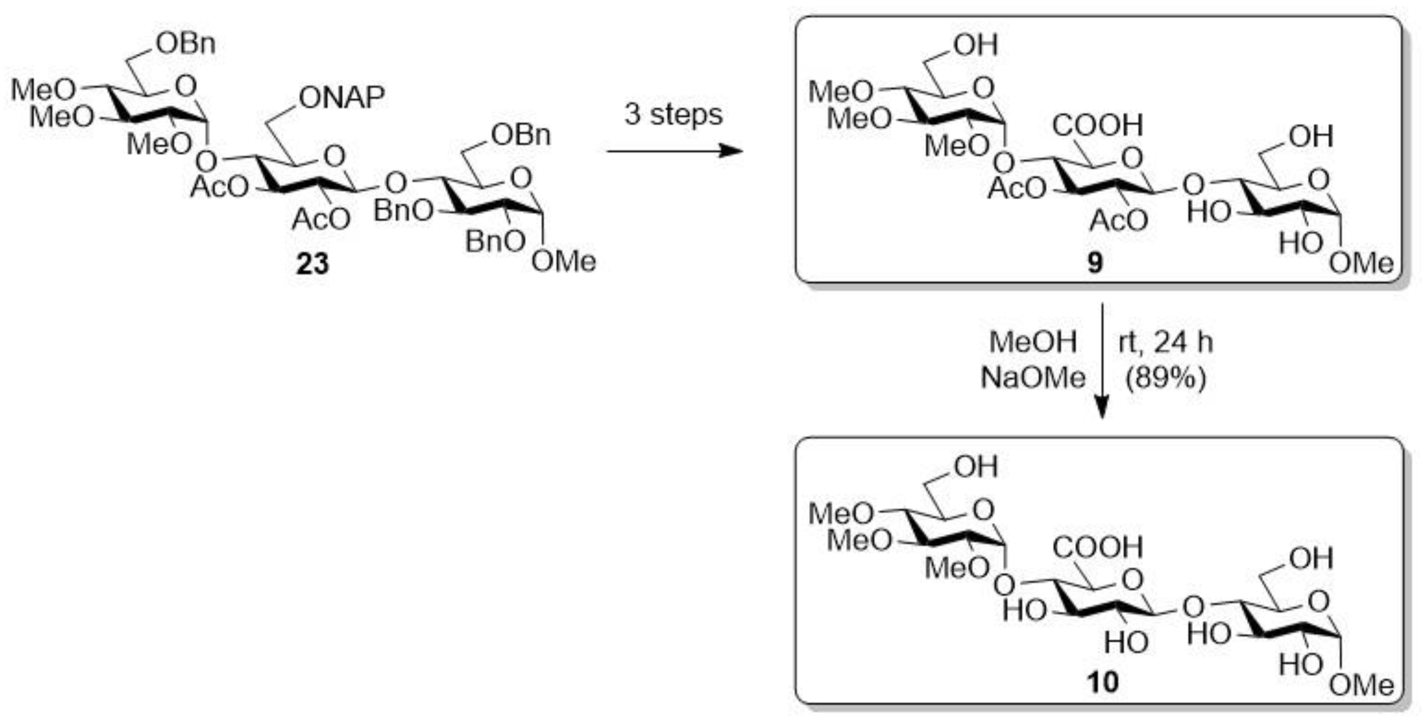 Biomolecules 14 01052 sch002