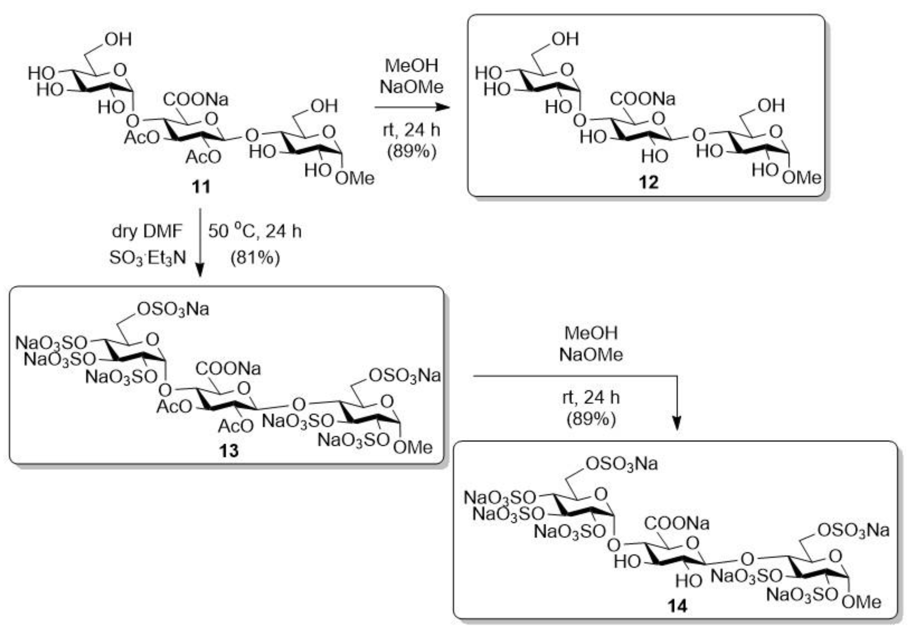 Biomolecules 14 01052 sch004