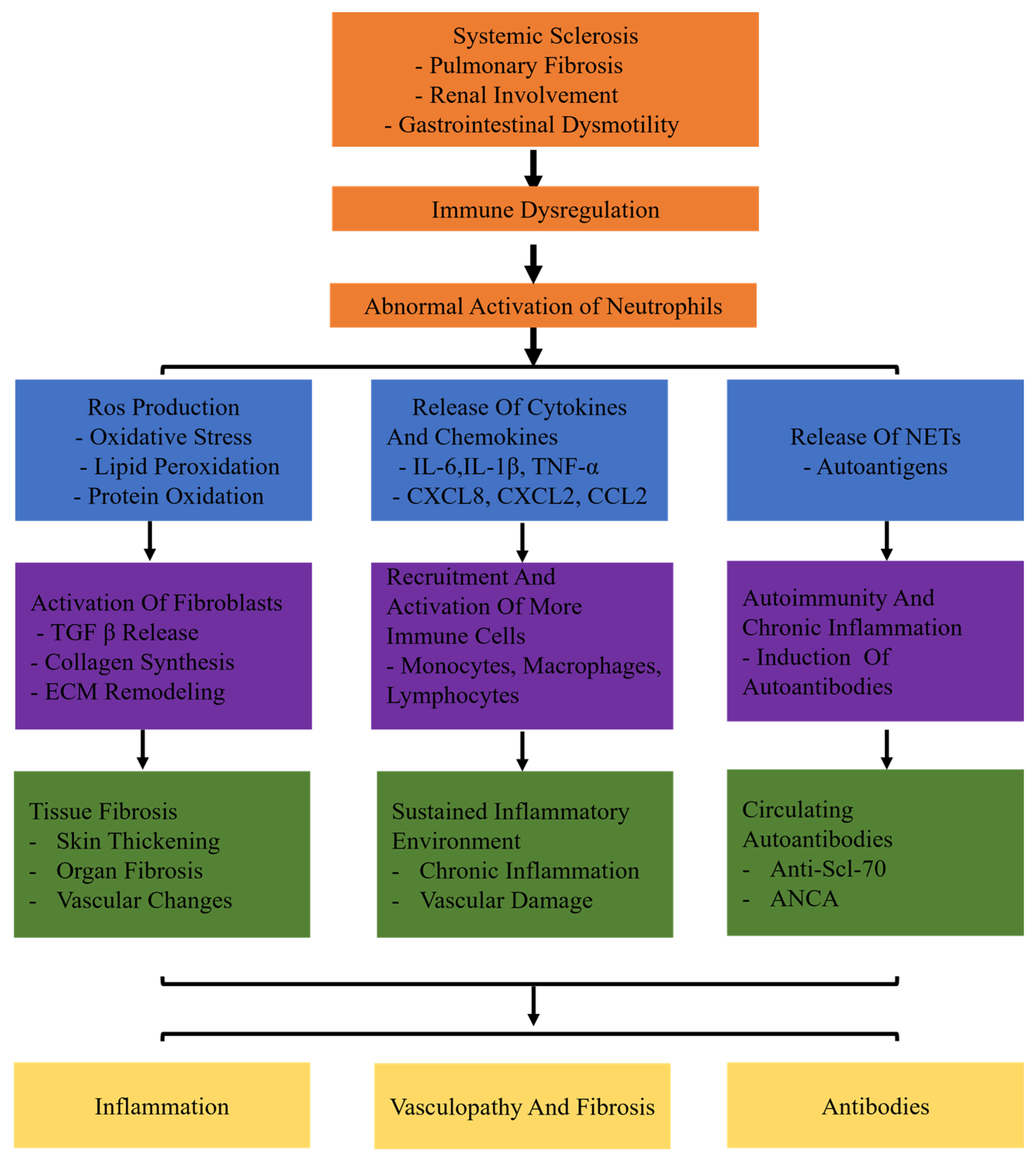 Biomolecules 14 01054 g001