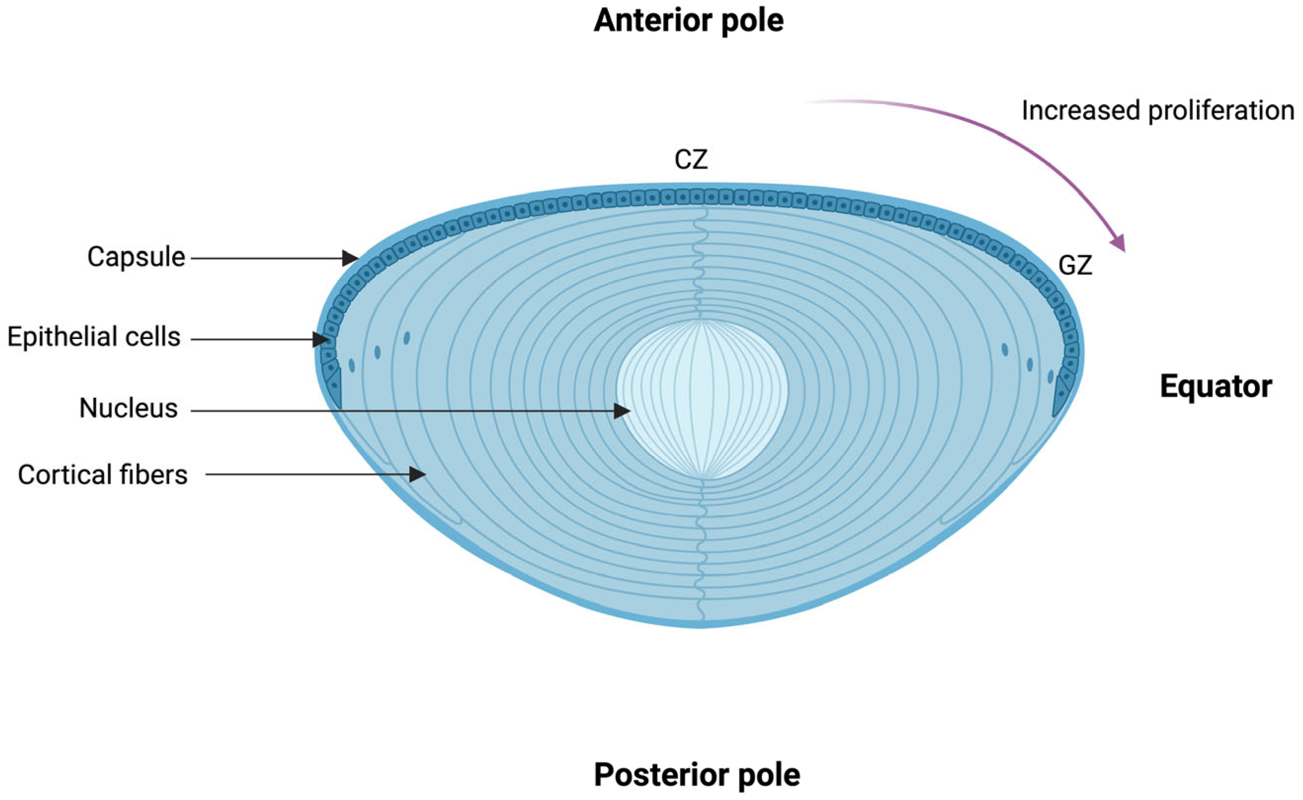 Biomolecules 14 01055 g002