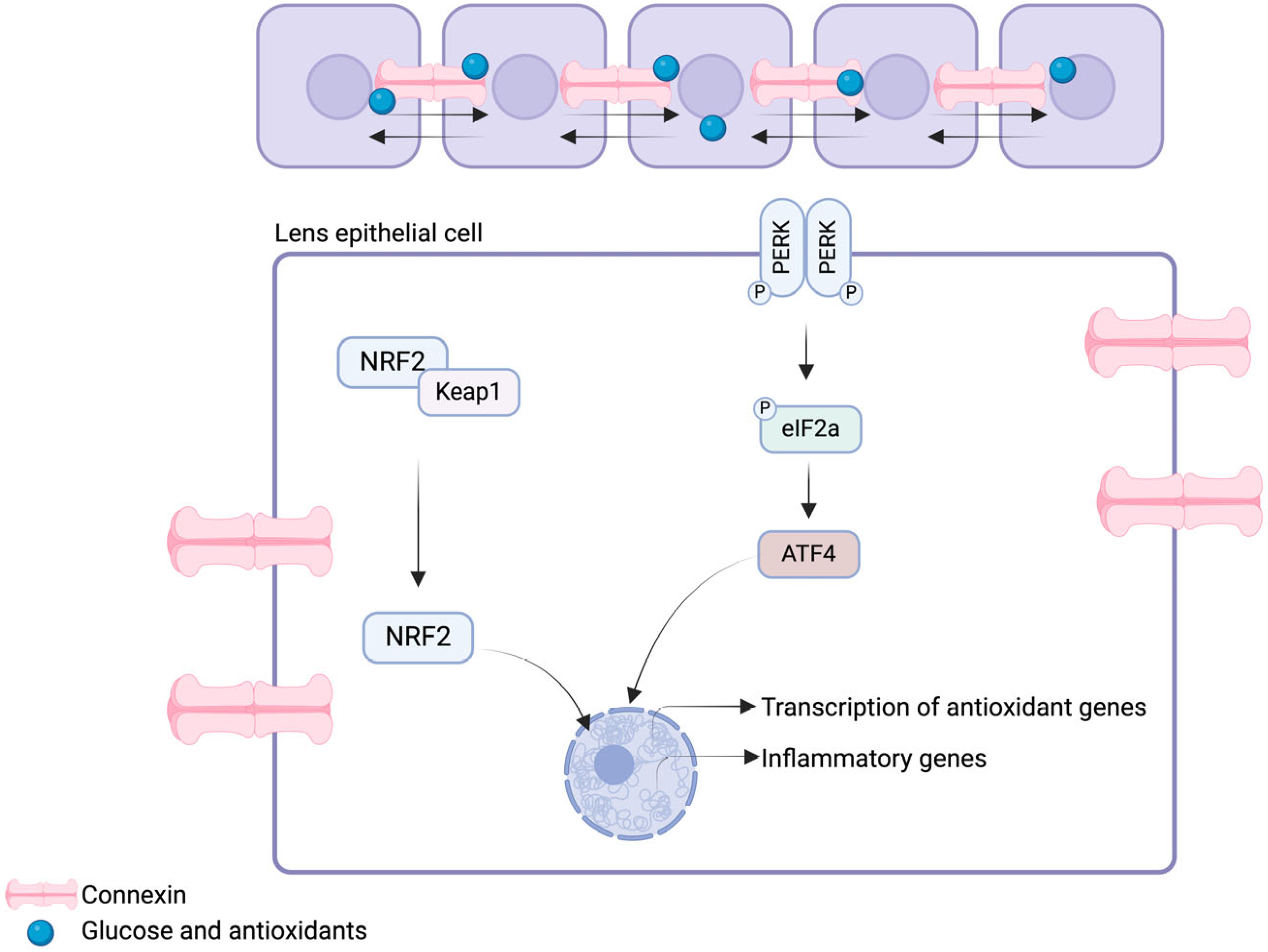 Biomolecules 14 01055 g003