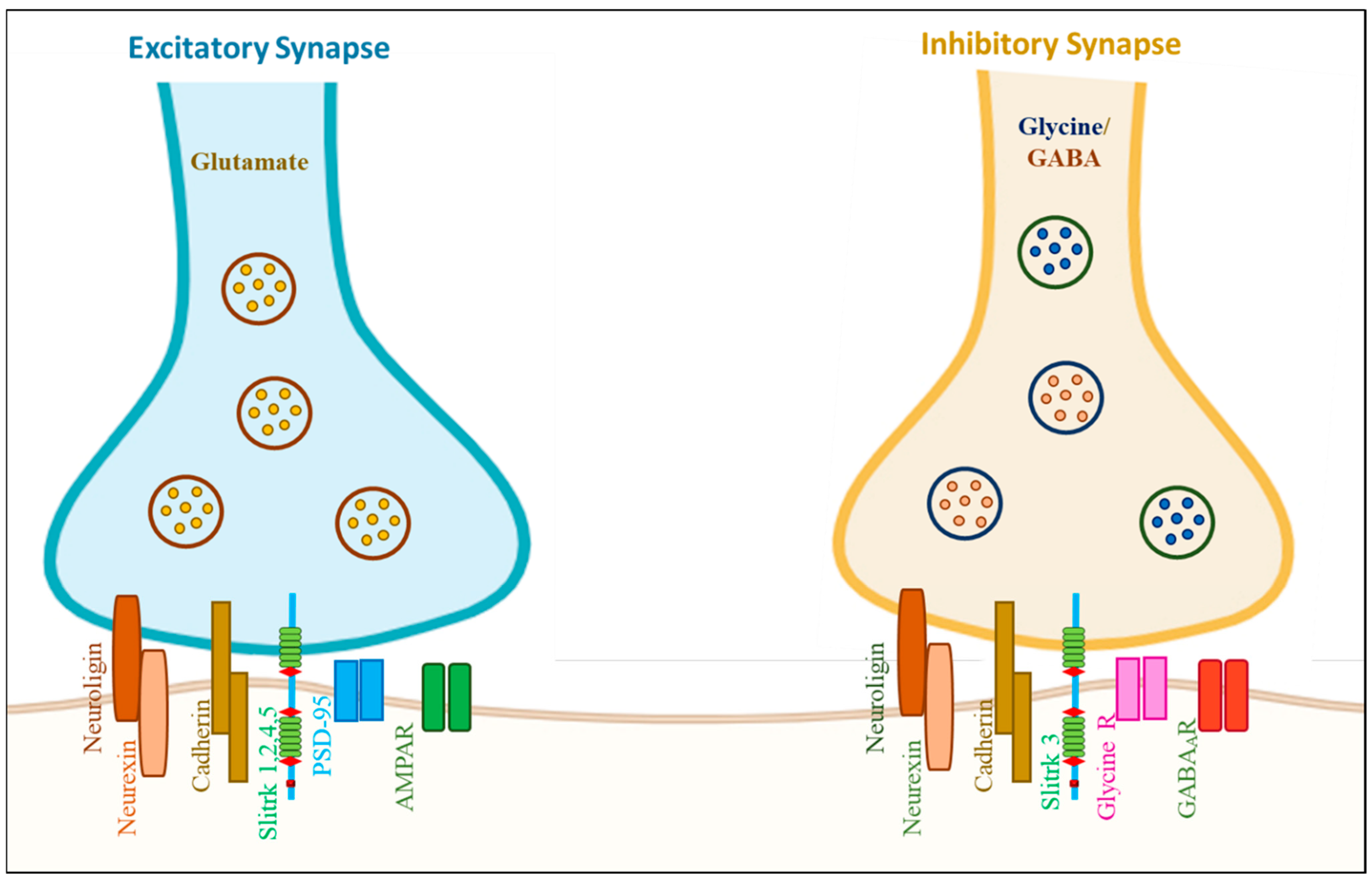 Biomolecules 14 01060 g003