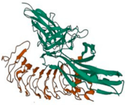 Biomolecules 14 01060 i001