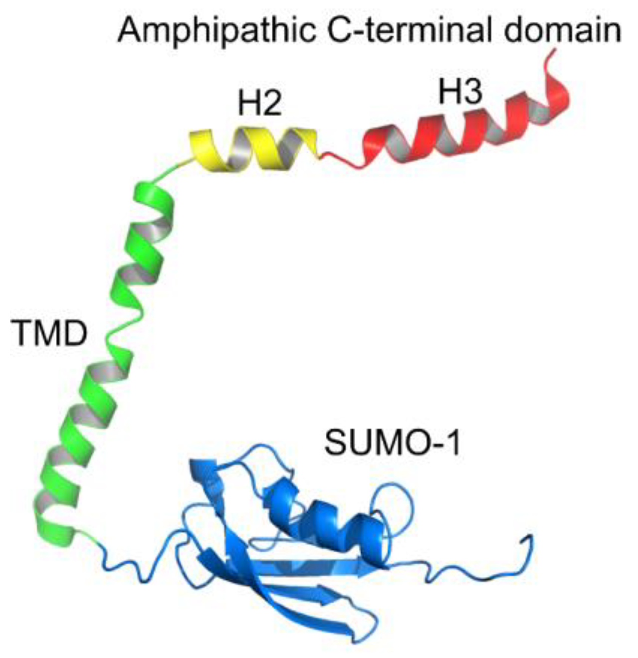 Biomolecules 14 01061 g001