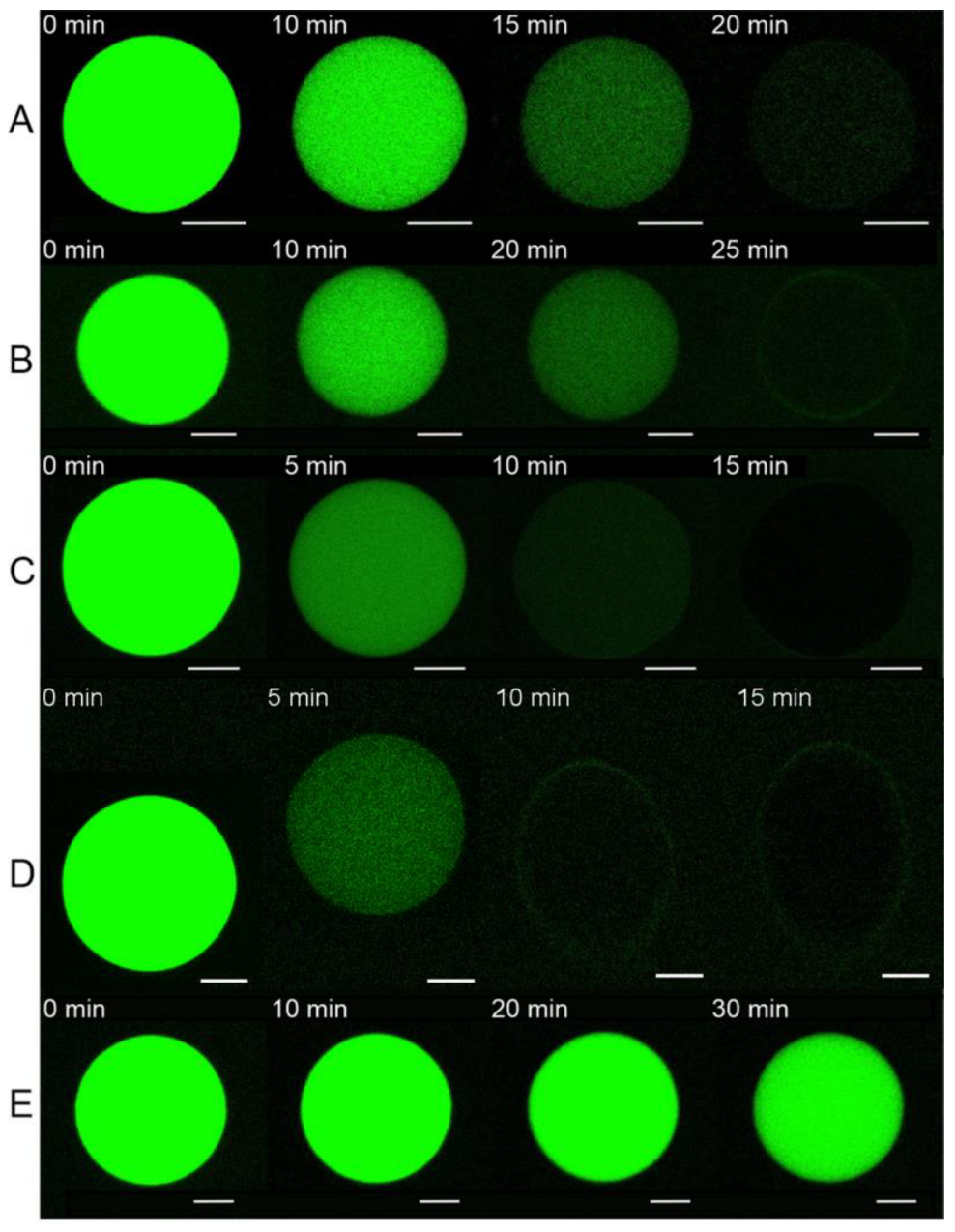 Biomolecules 14 01061 g004