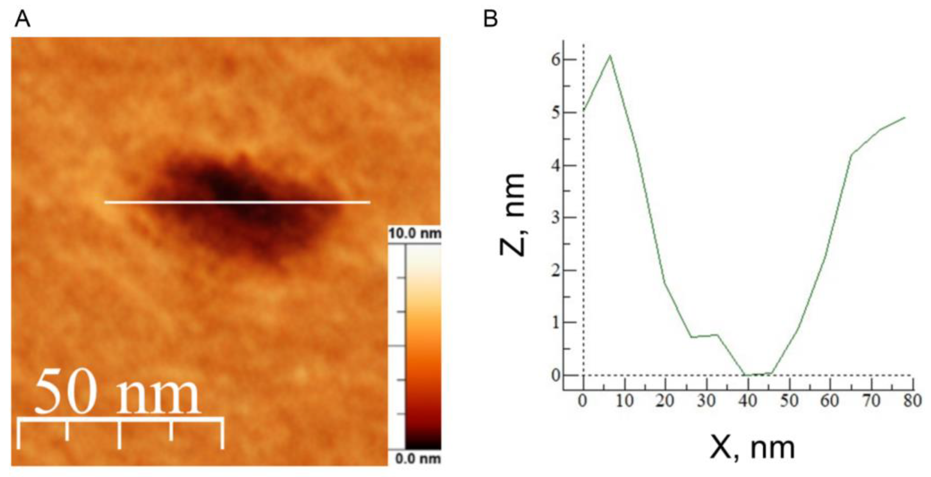 Biomolecules 14 01061 g011
