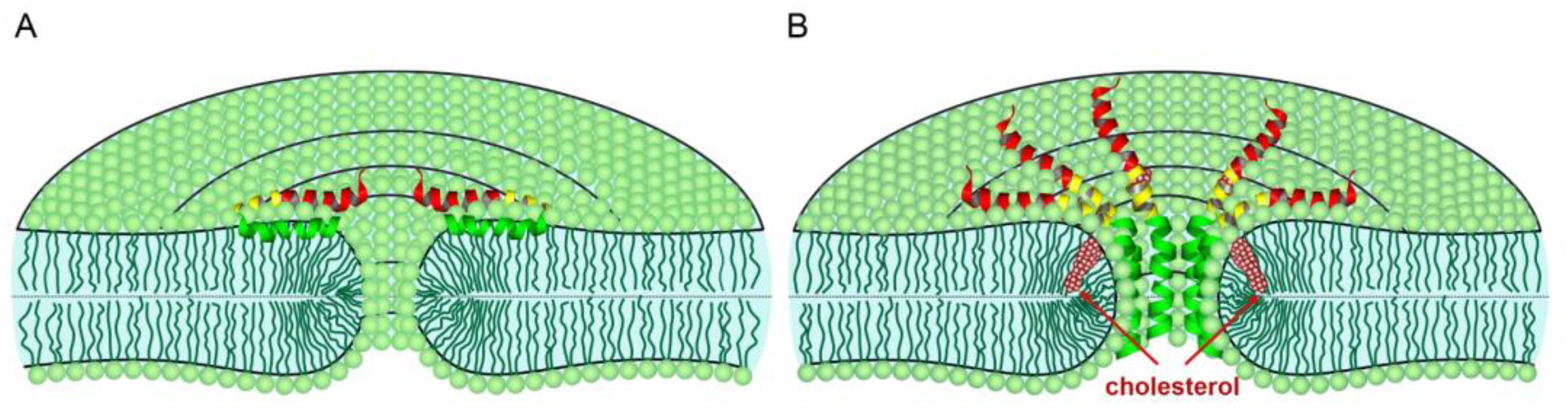 Biomolecules 14 01061 g013
