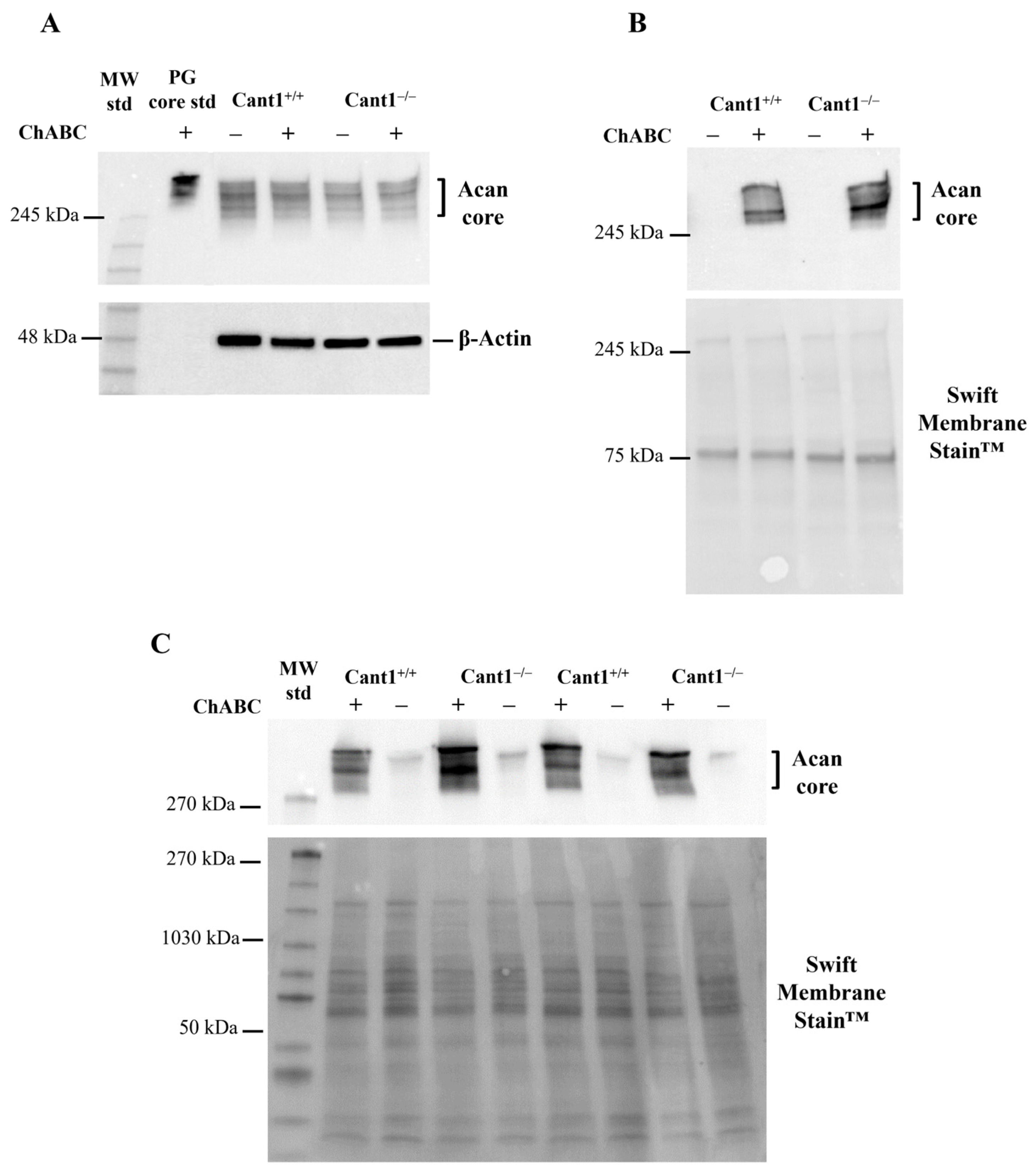 Biomolecules 14 01064 g002