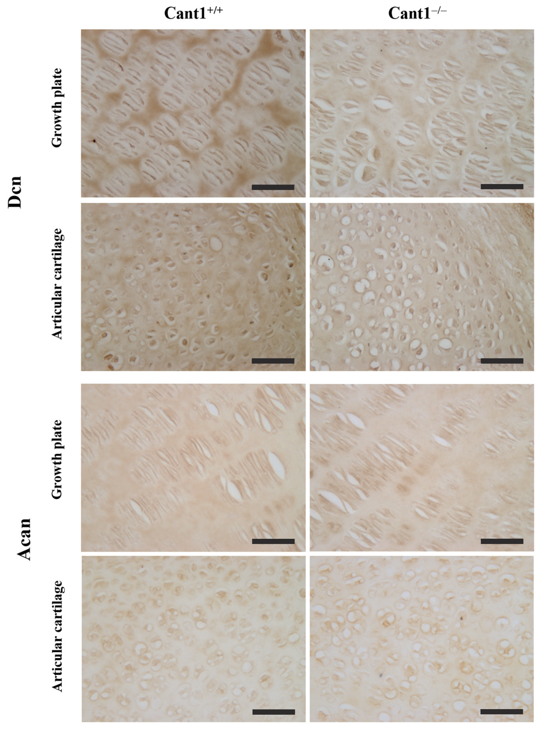 Biomolecules 14 01064 g005