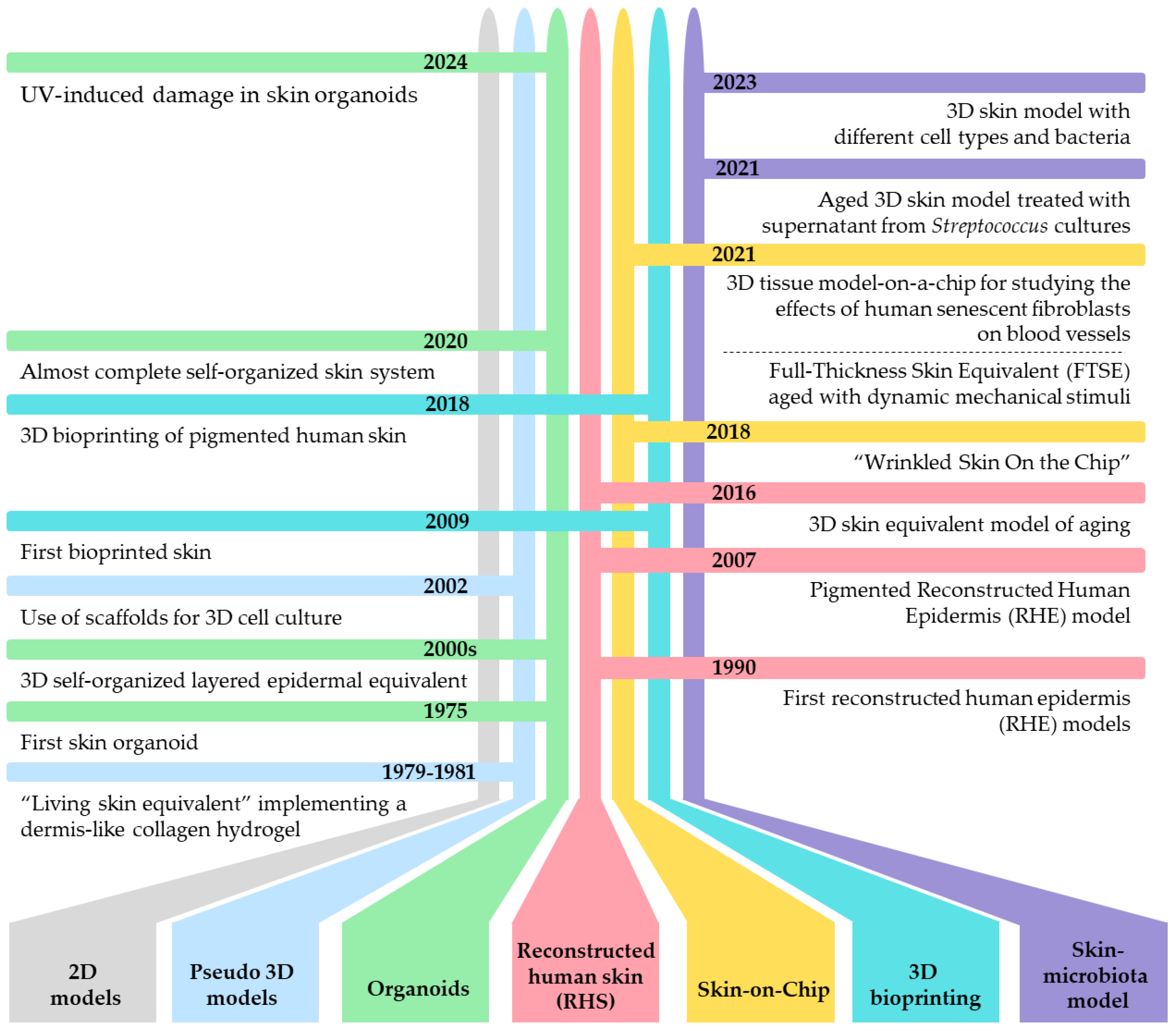 Biomolecules 14 01066 g001