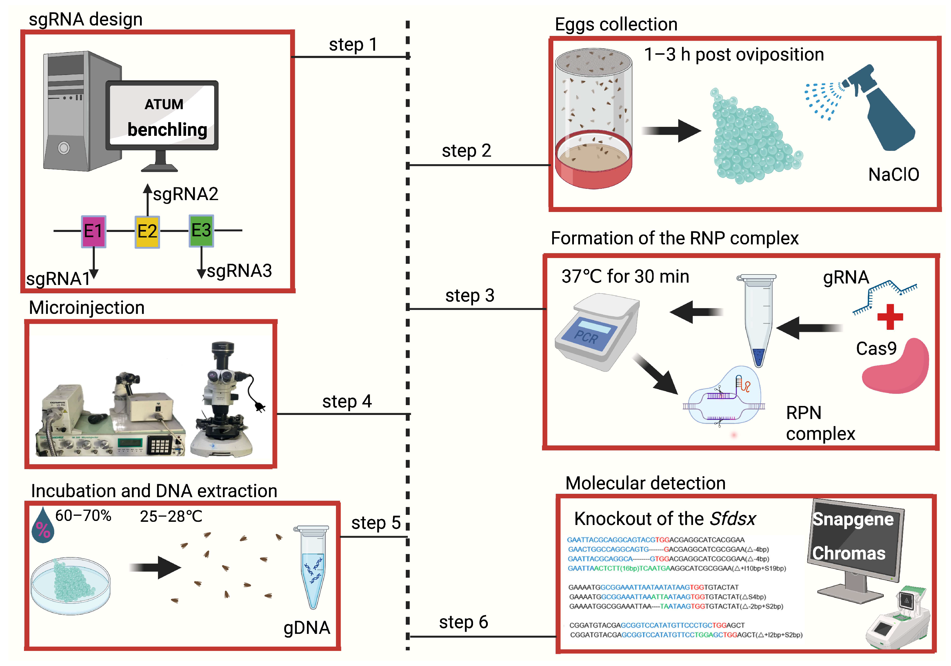 Biomolecules 14 01074 g001
