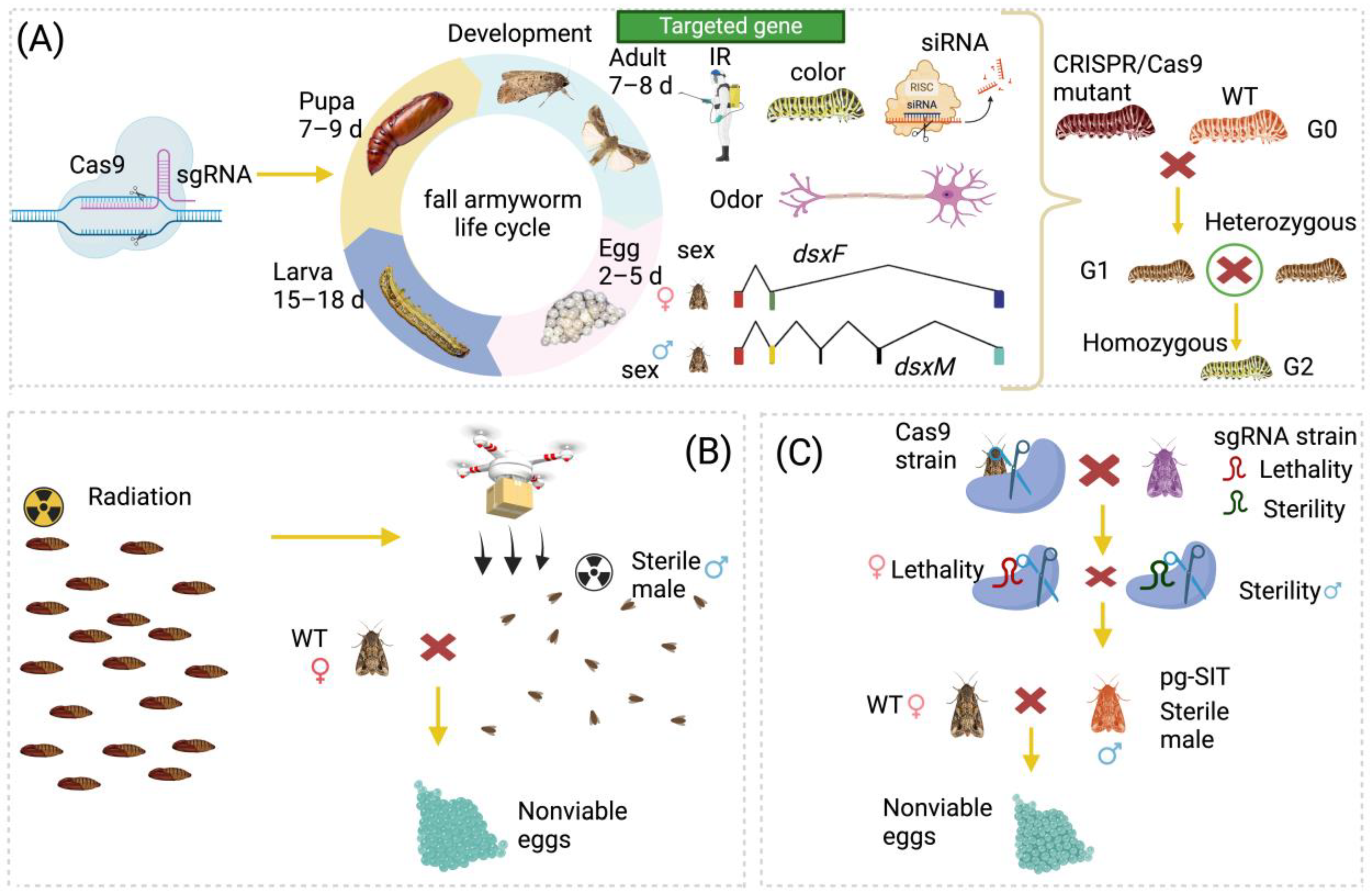 Biomolecules 14 01074 g002
