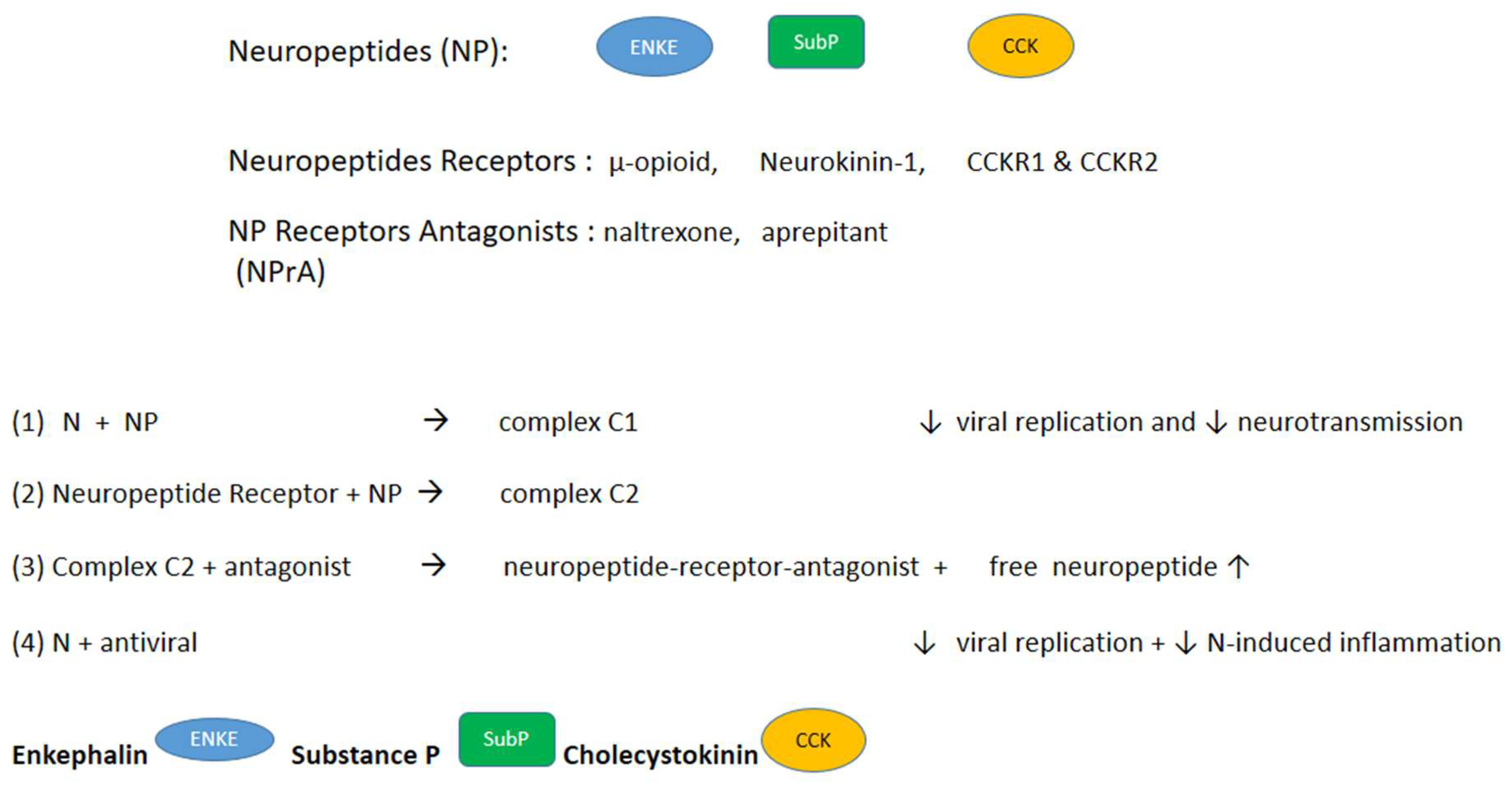 Biomolecules 14 01081 g002