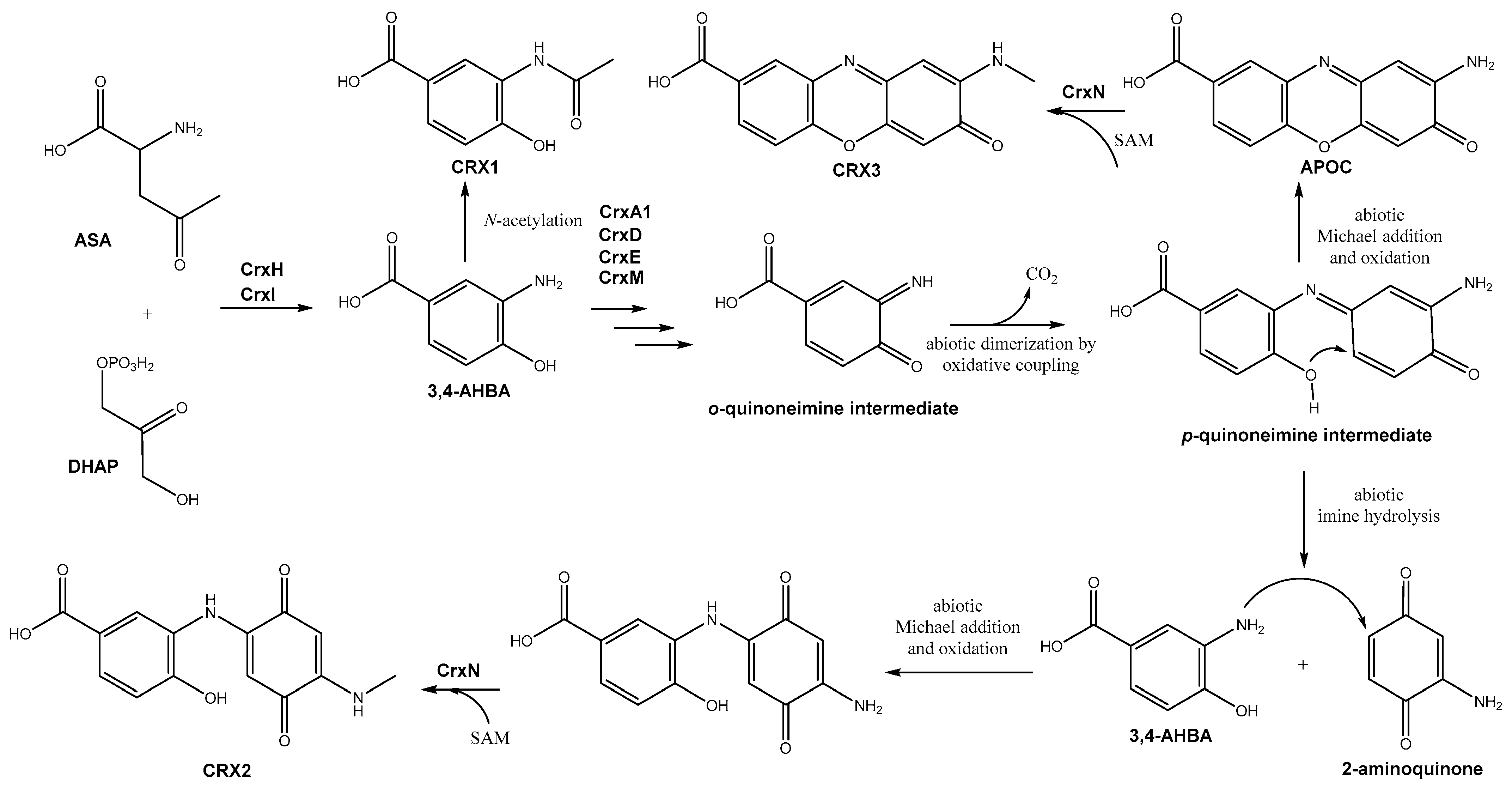 Biomolecules 14 01084 g007