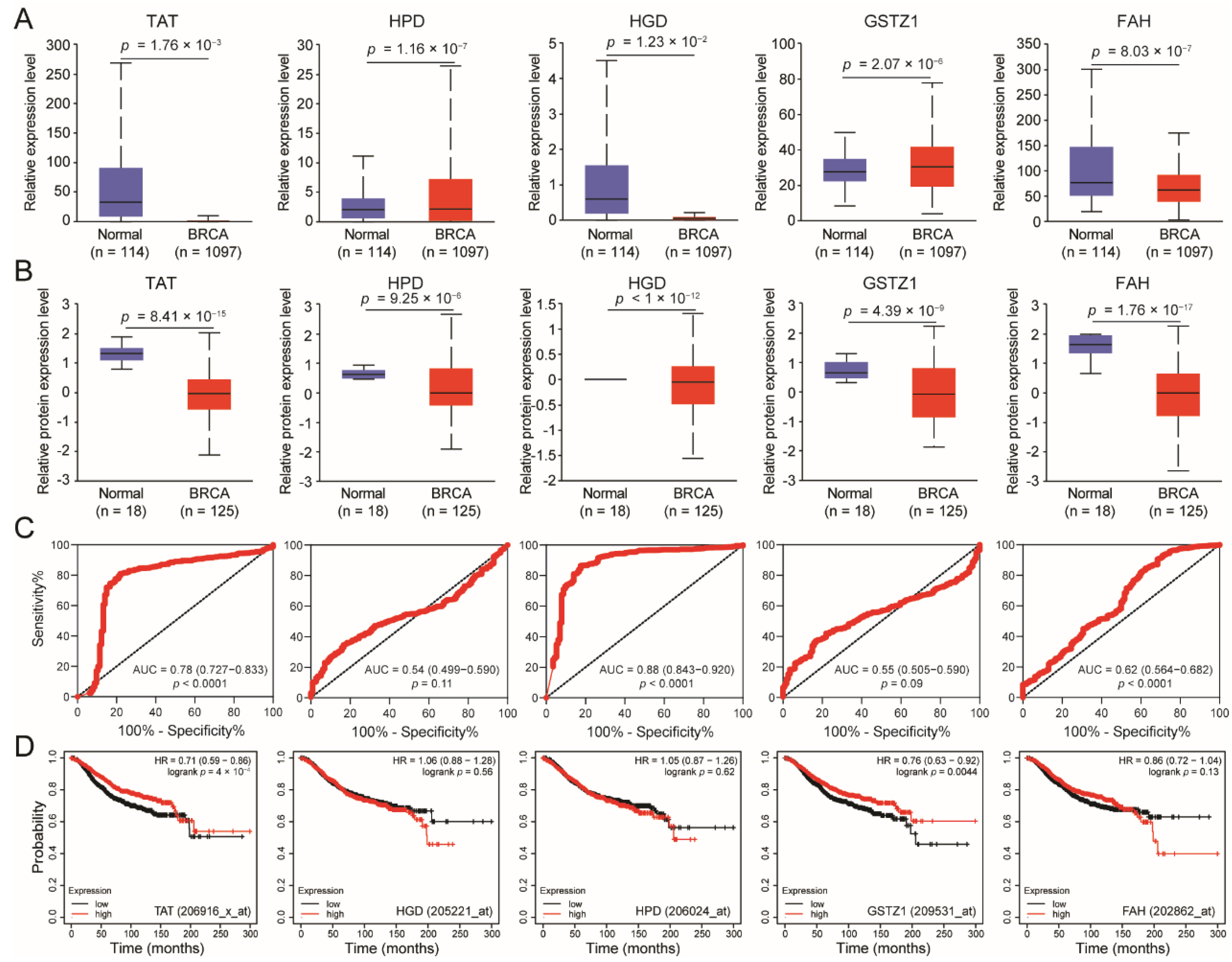 Biomolecules 14 01088 g001
