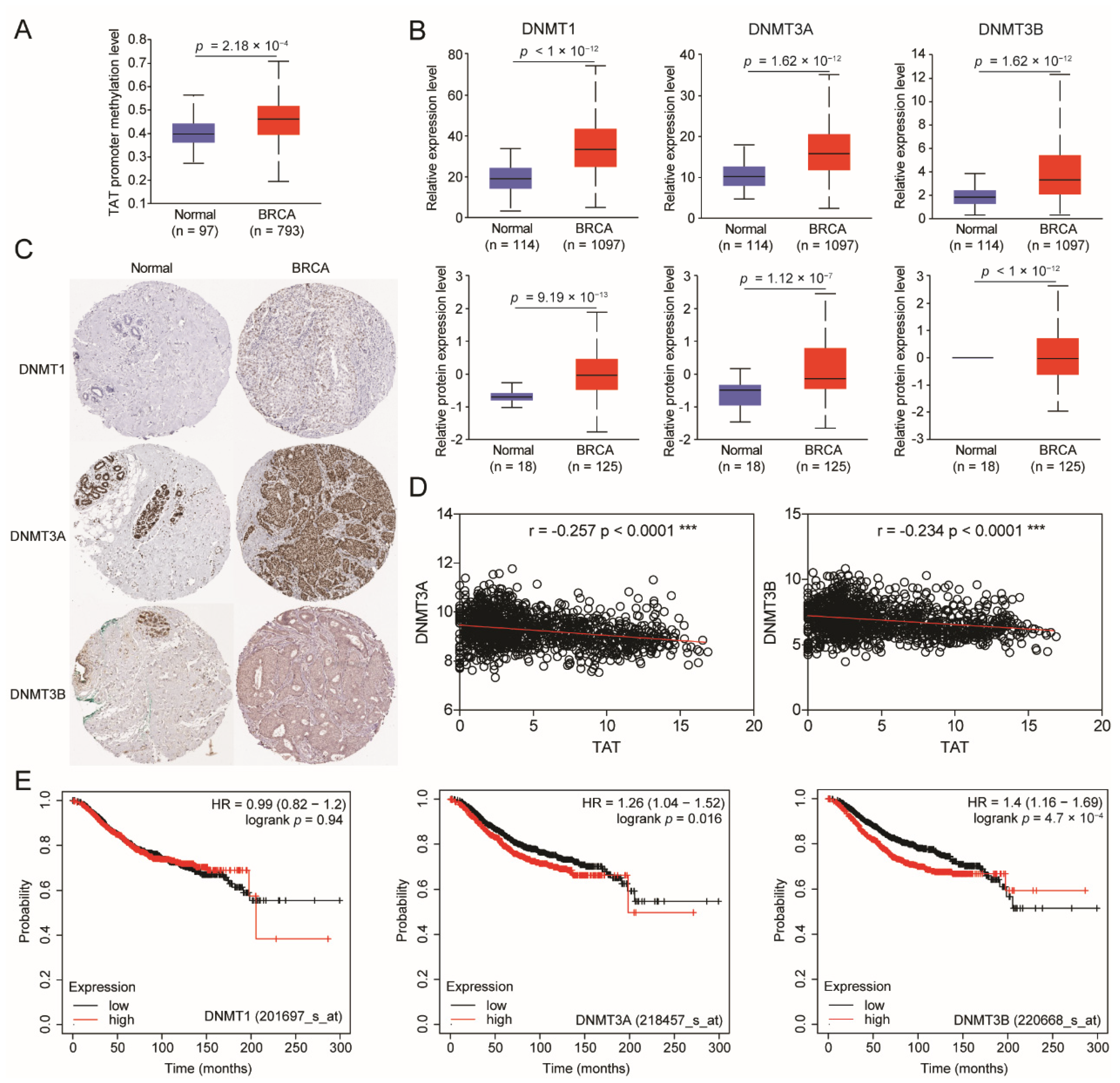 Biomolecules 14 01088 g002