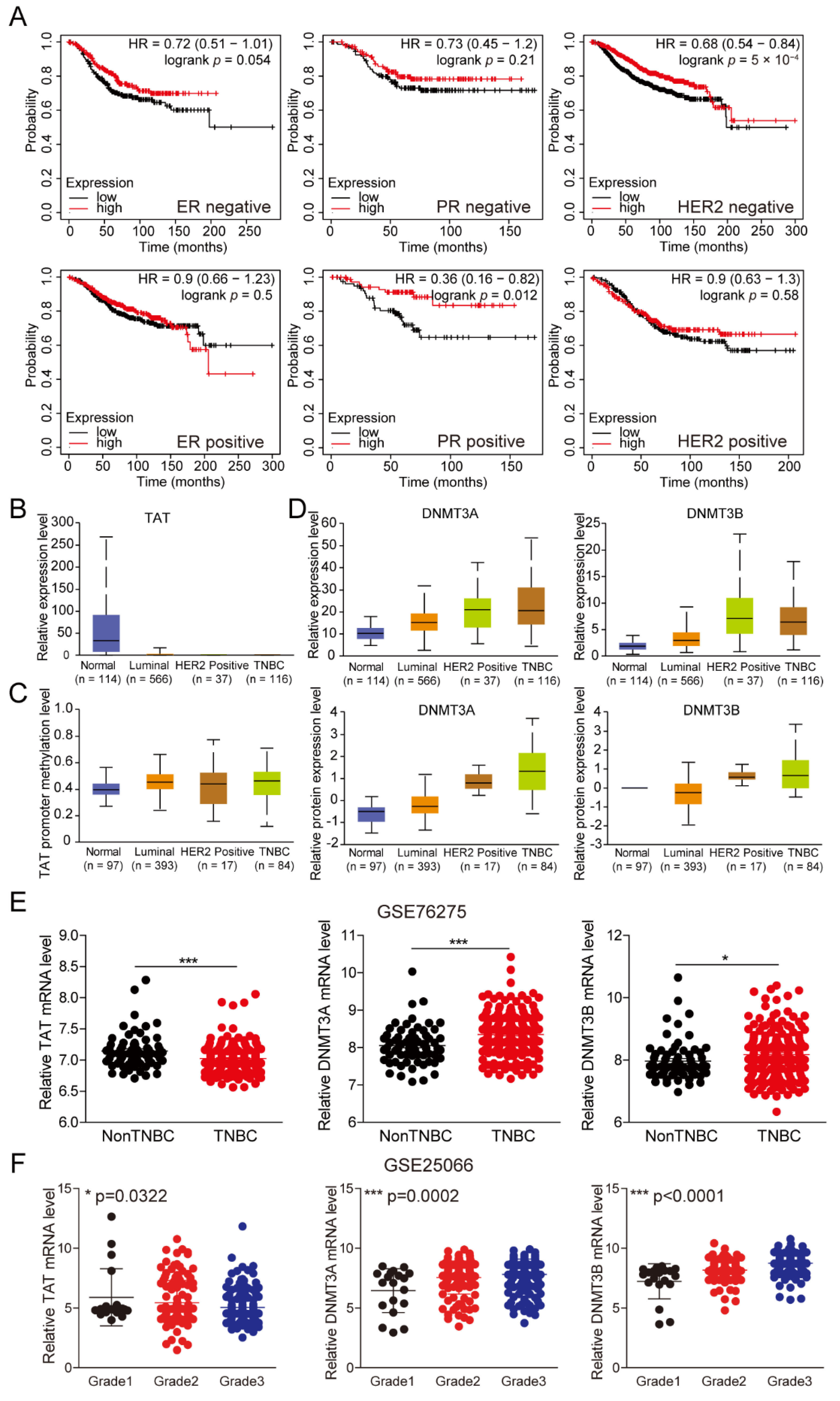 Biomolecules 14 01088 g004