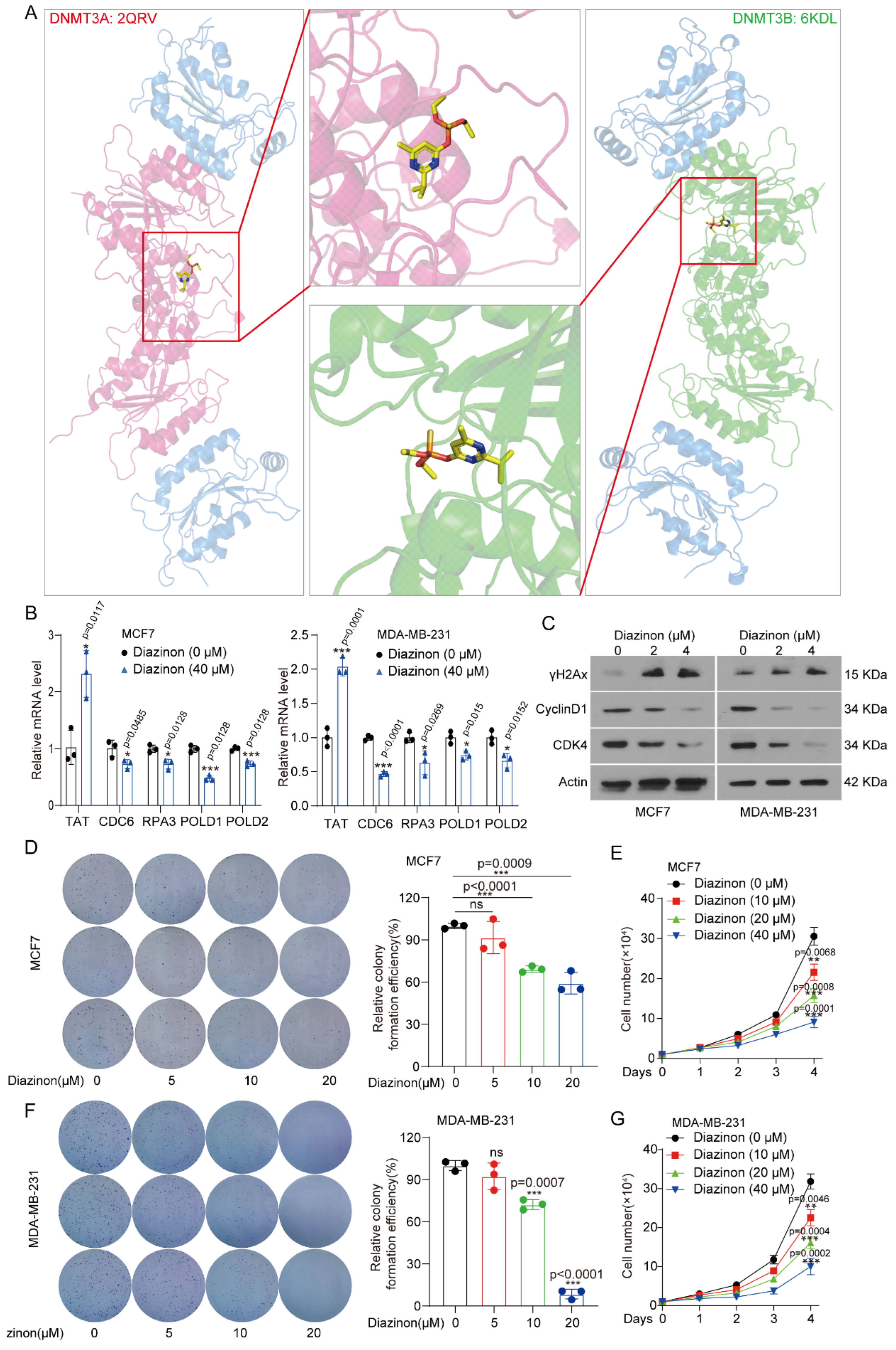 Biomolecules 14 01088 g006