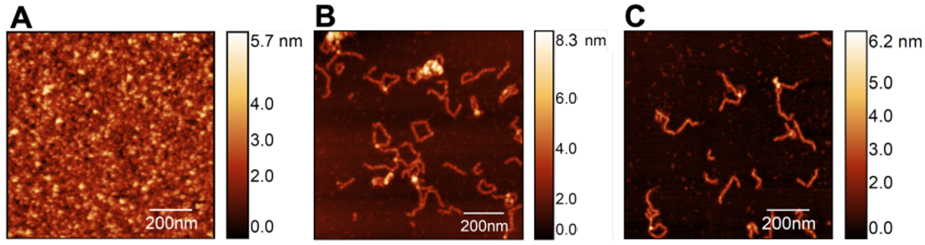 Biomolecules 14 01091 g002