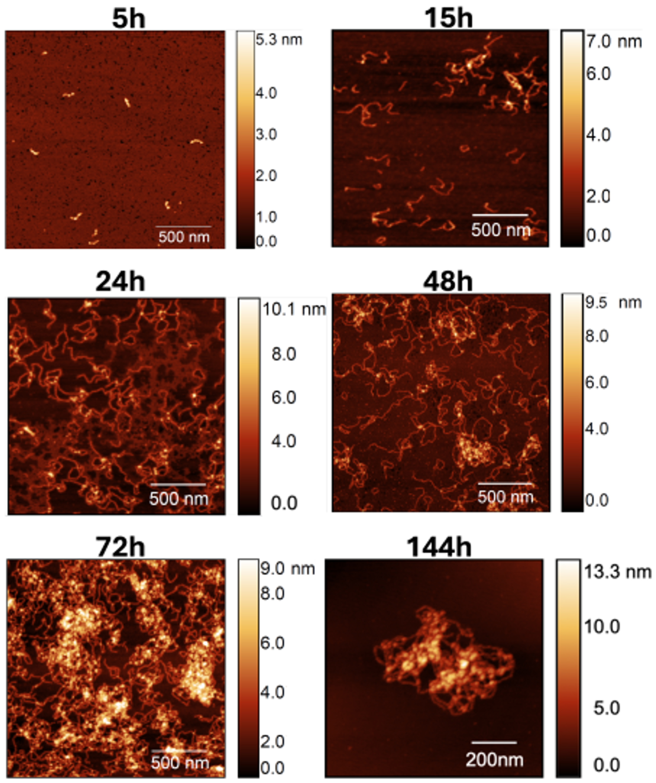 Biomolecules 14 01091 g003