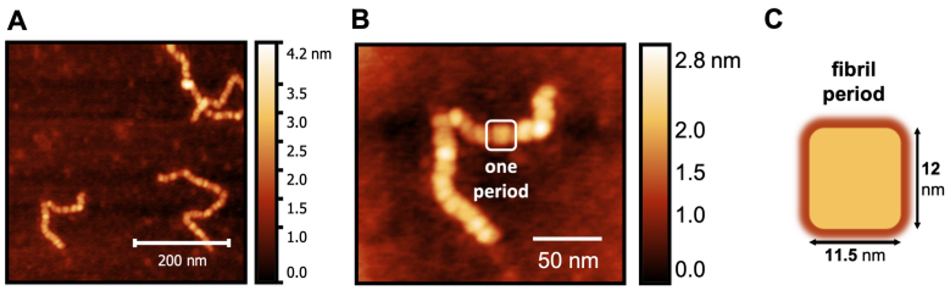 Biomolecules 14 01091 g005