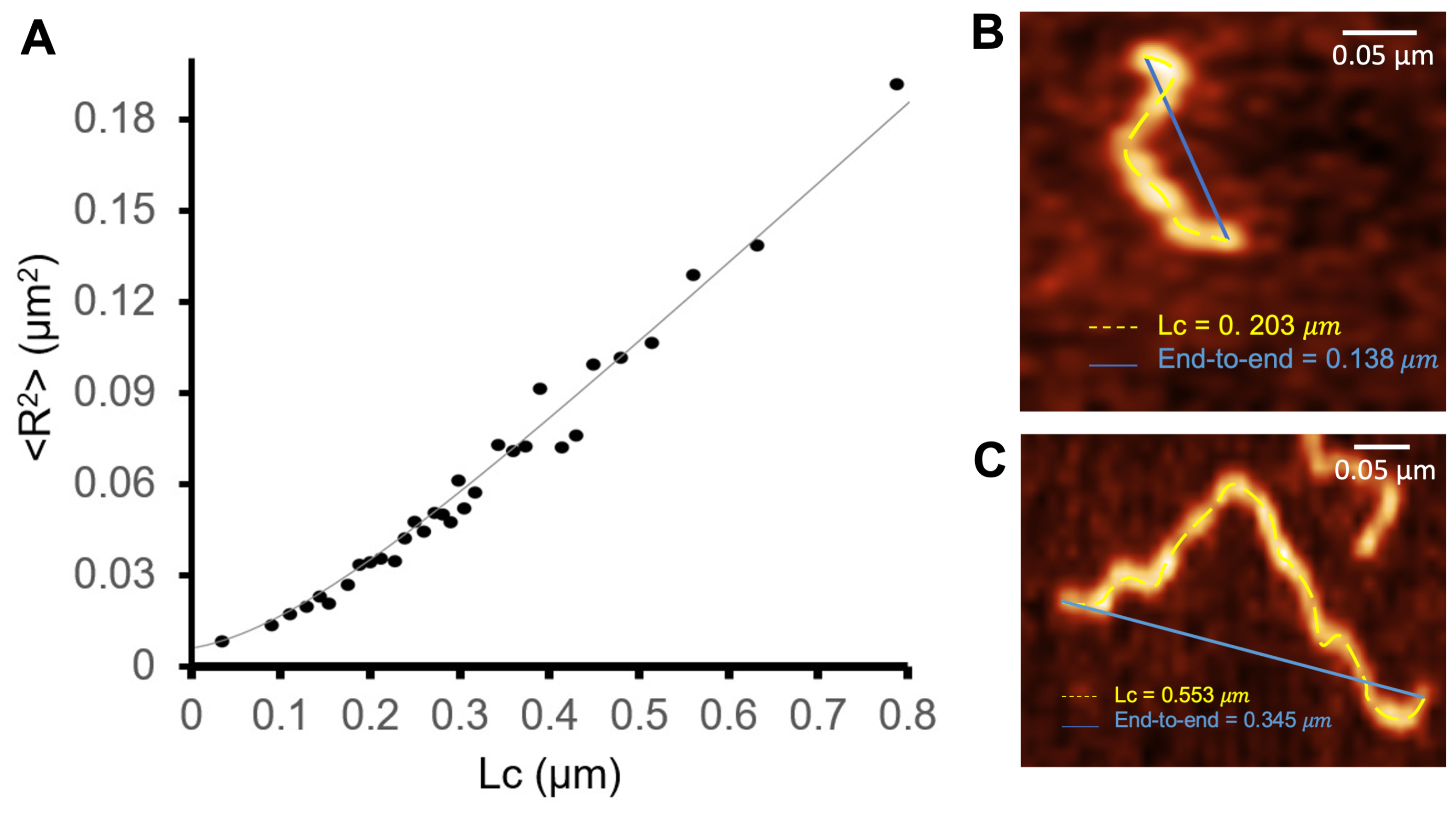 Biomolecules 14 01091 g007
