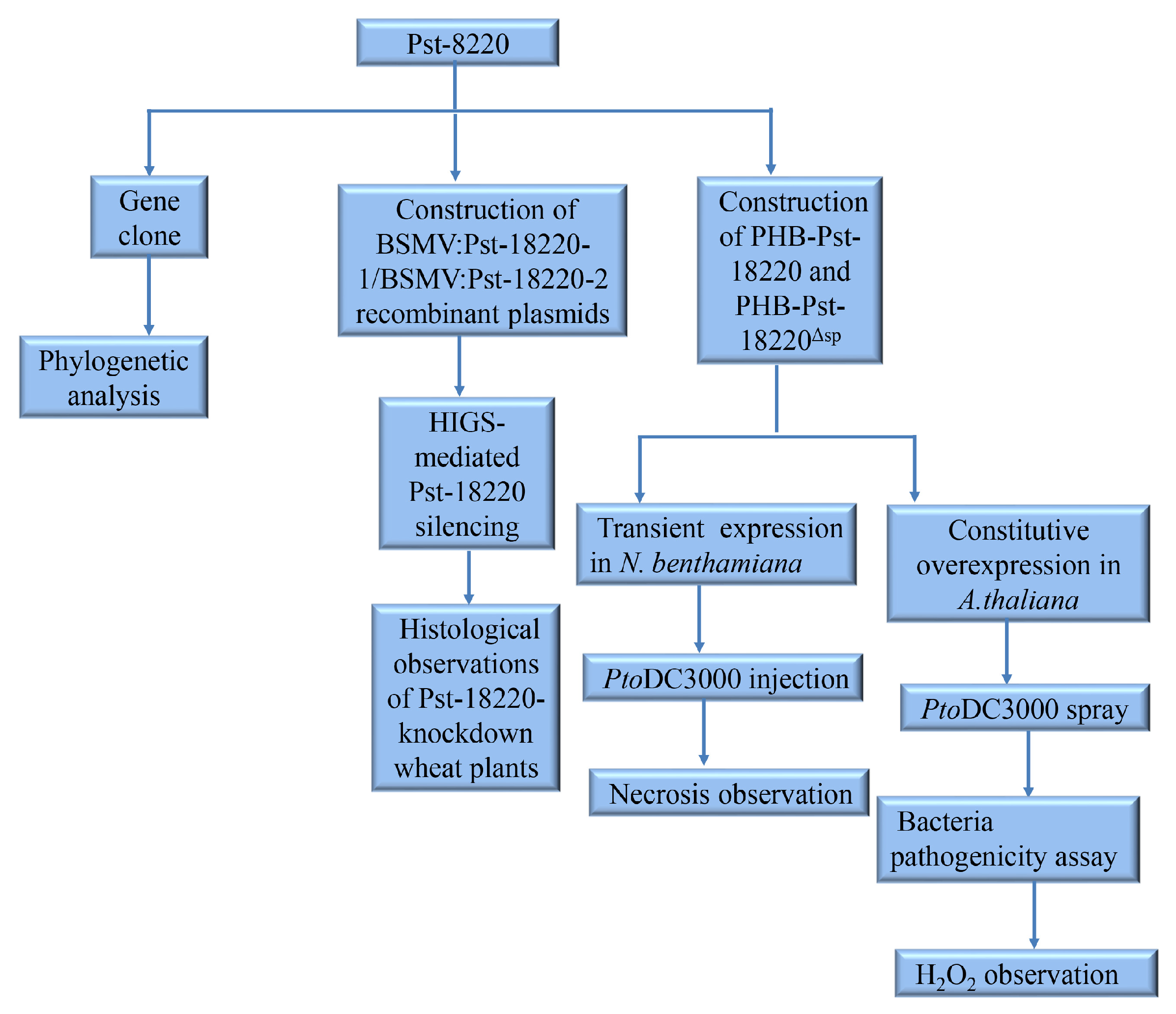Biomolecules 14 01092 g001