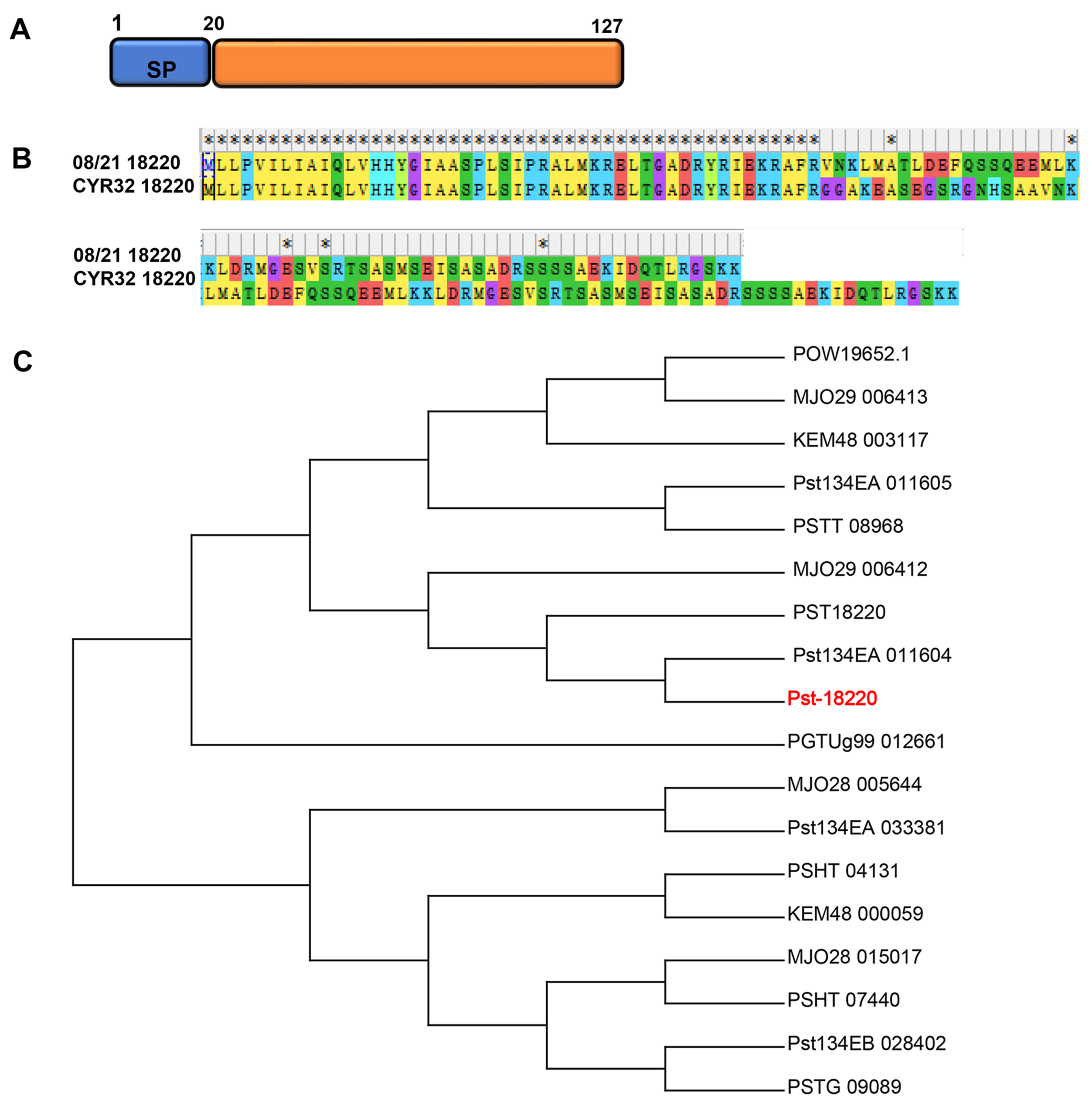 Biomolecules 14 01092 g002
