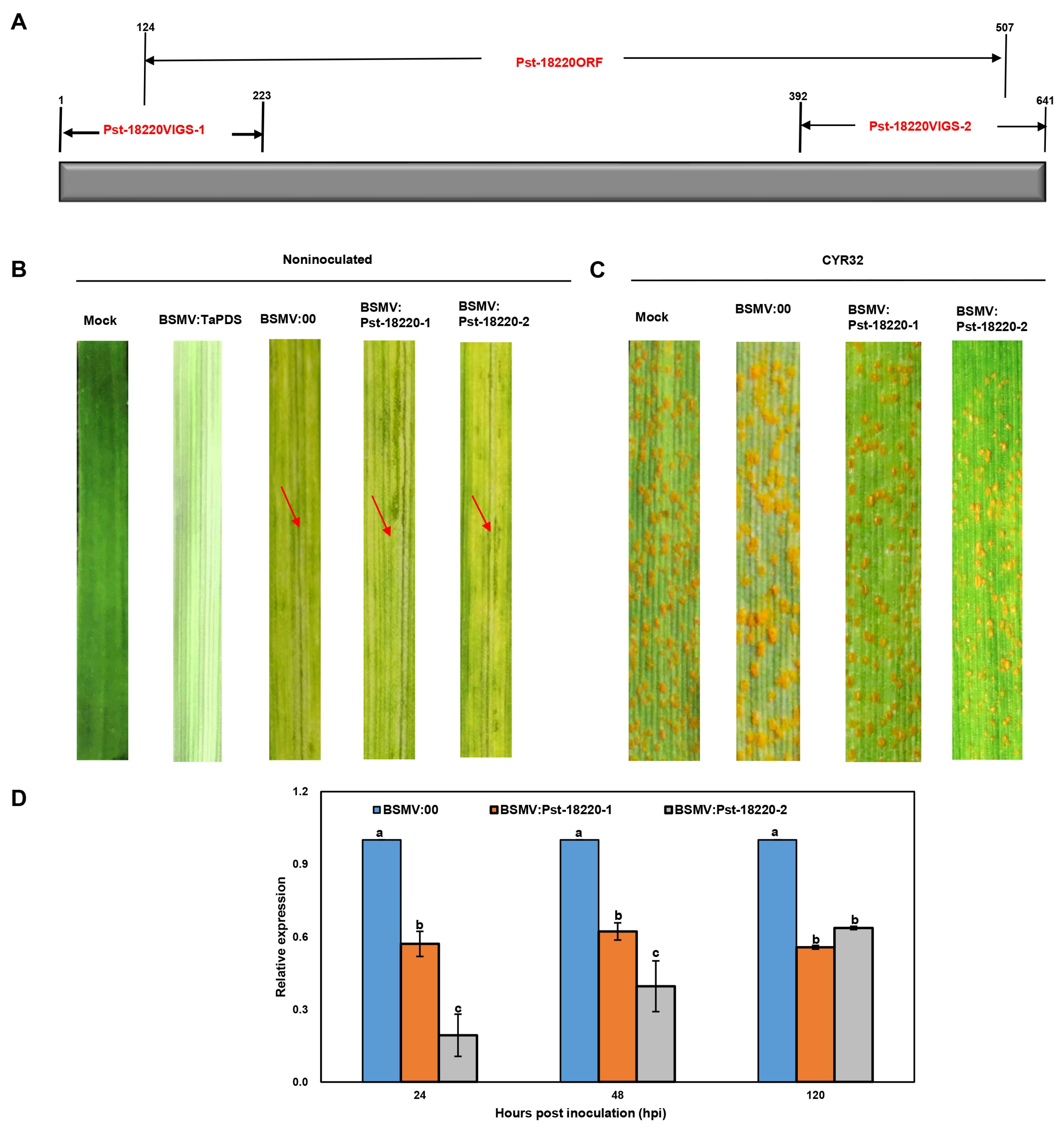 Biomolecules 14 01092 g004