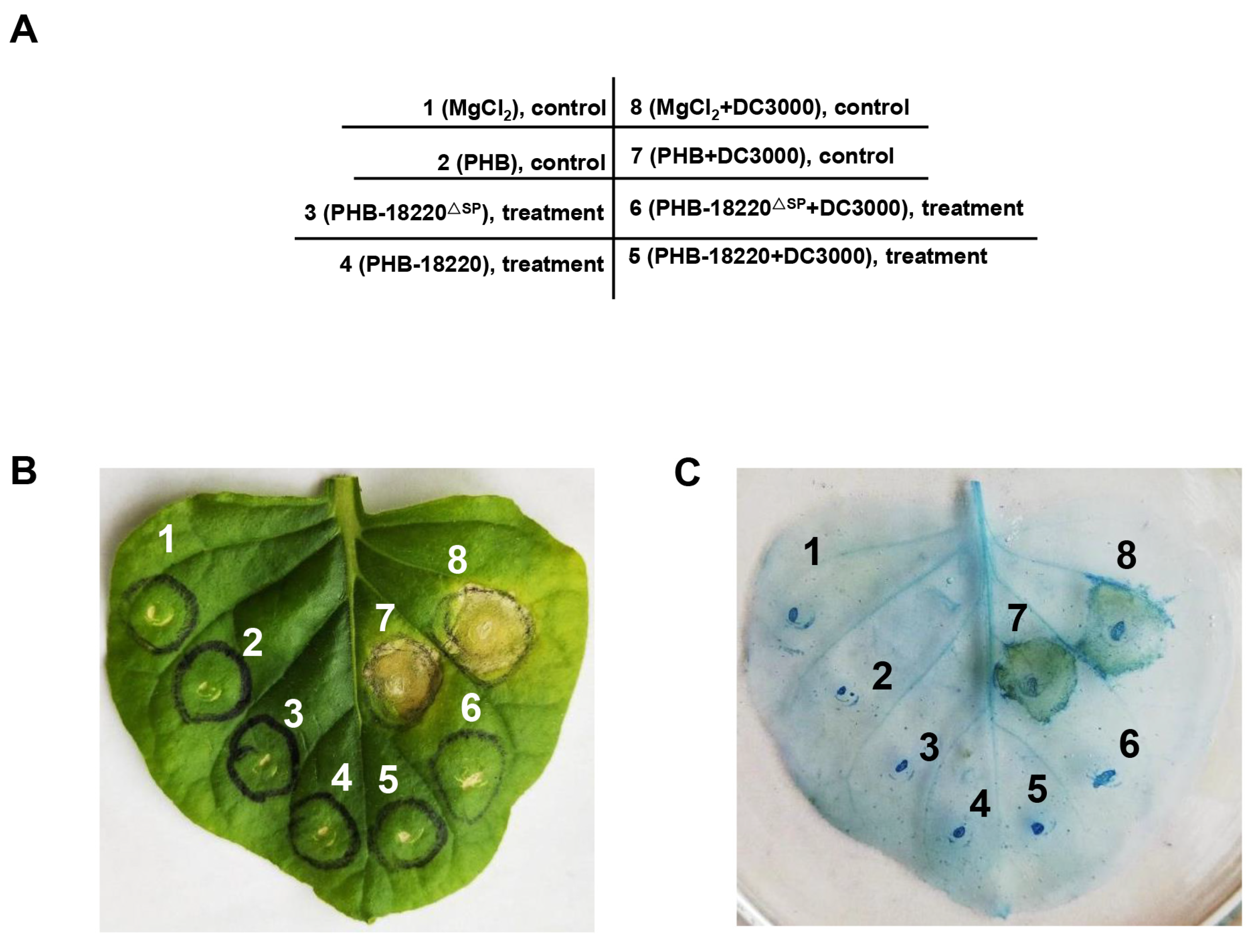 Biomolecules 14 01092 g006a