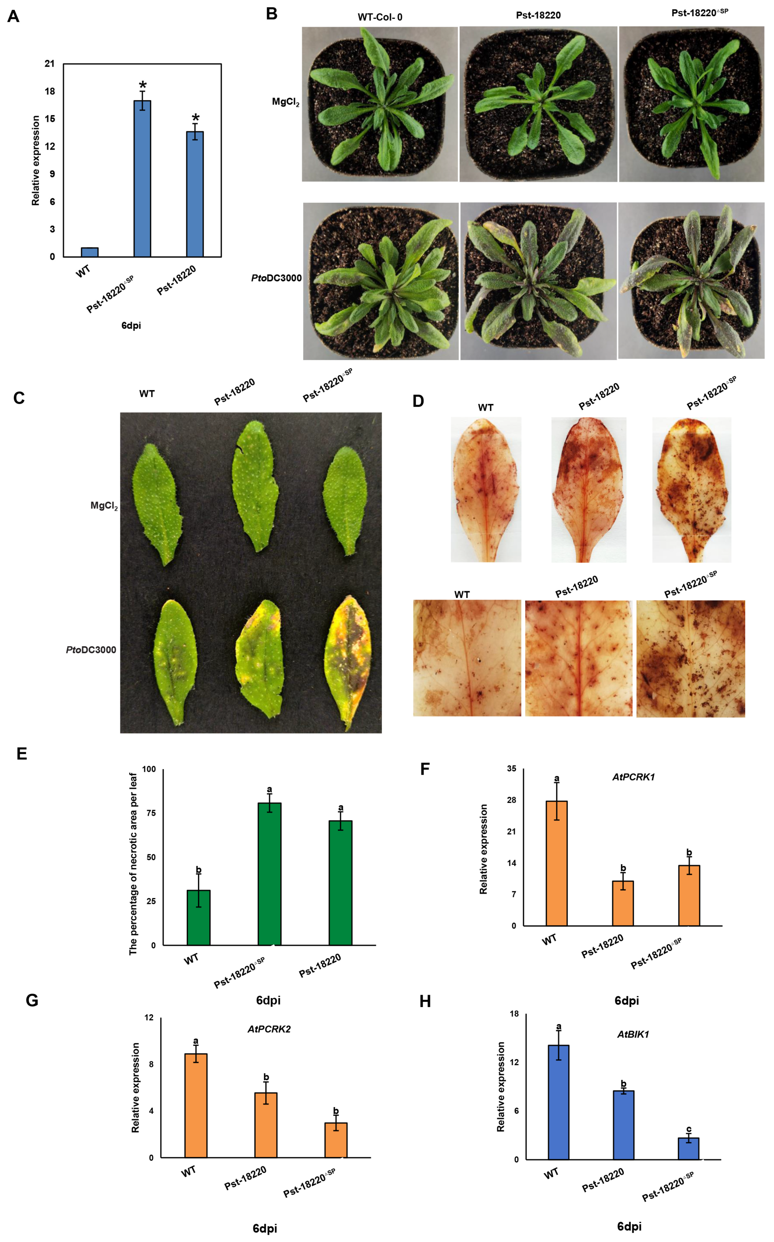 Biomolecules 14 01092 g007