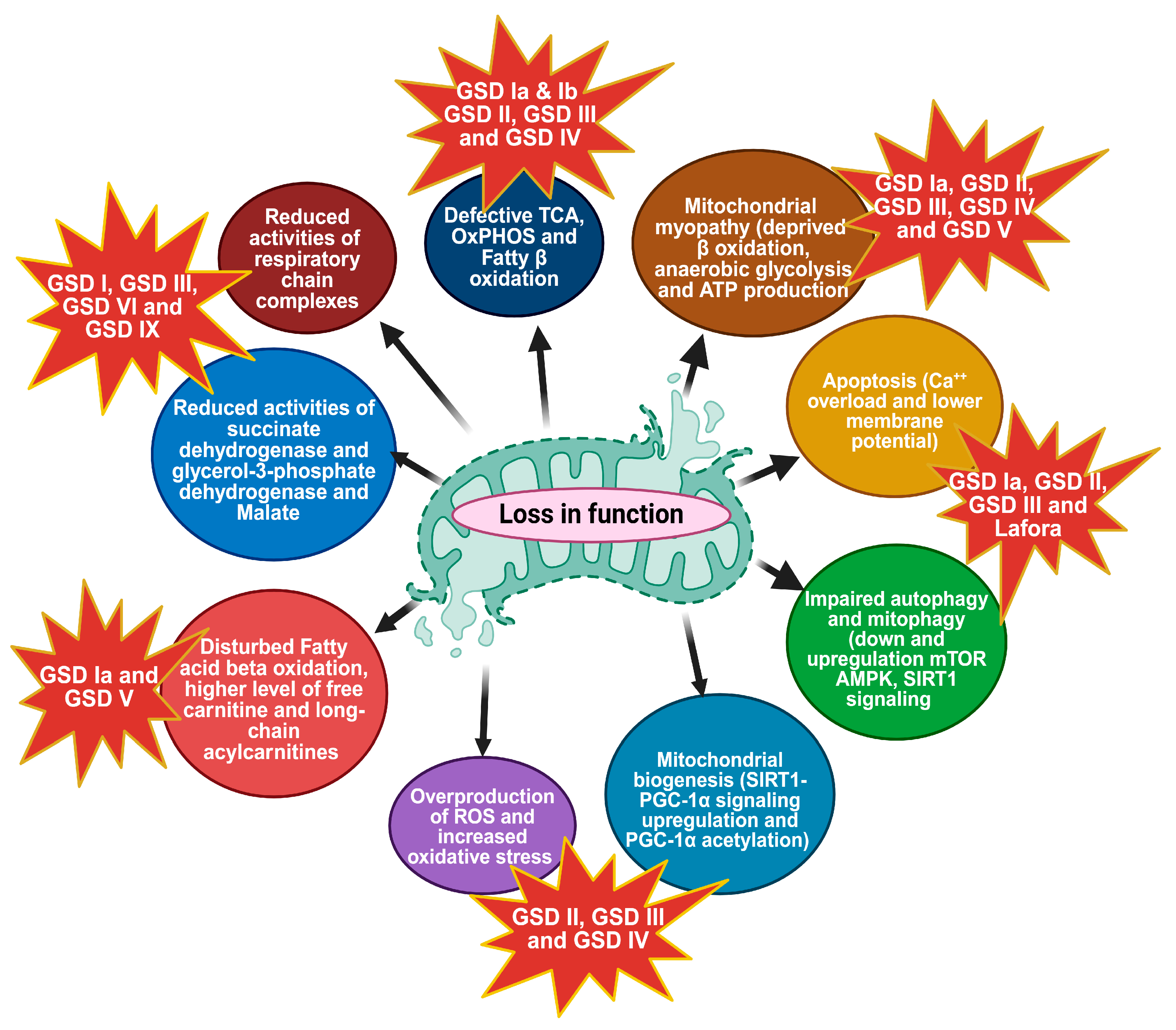 Biomolecules 14 01096 g002