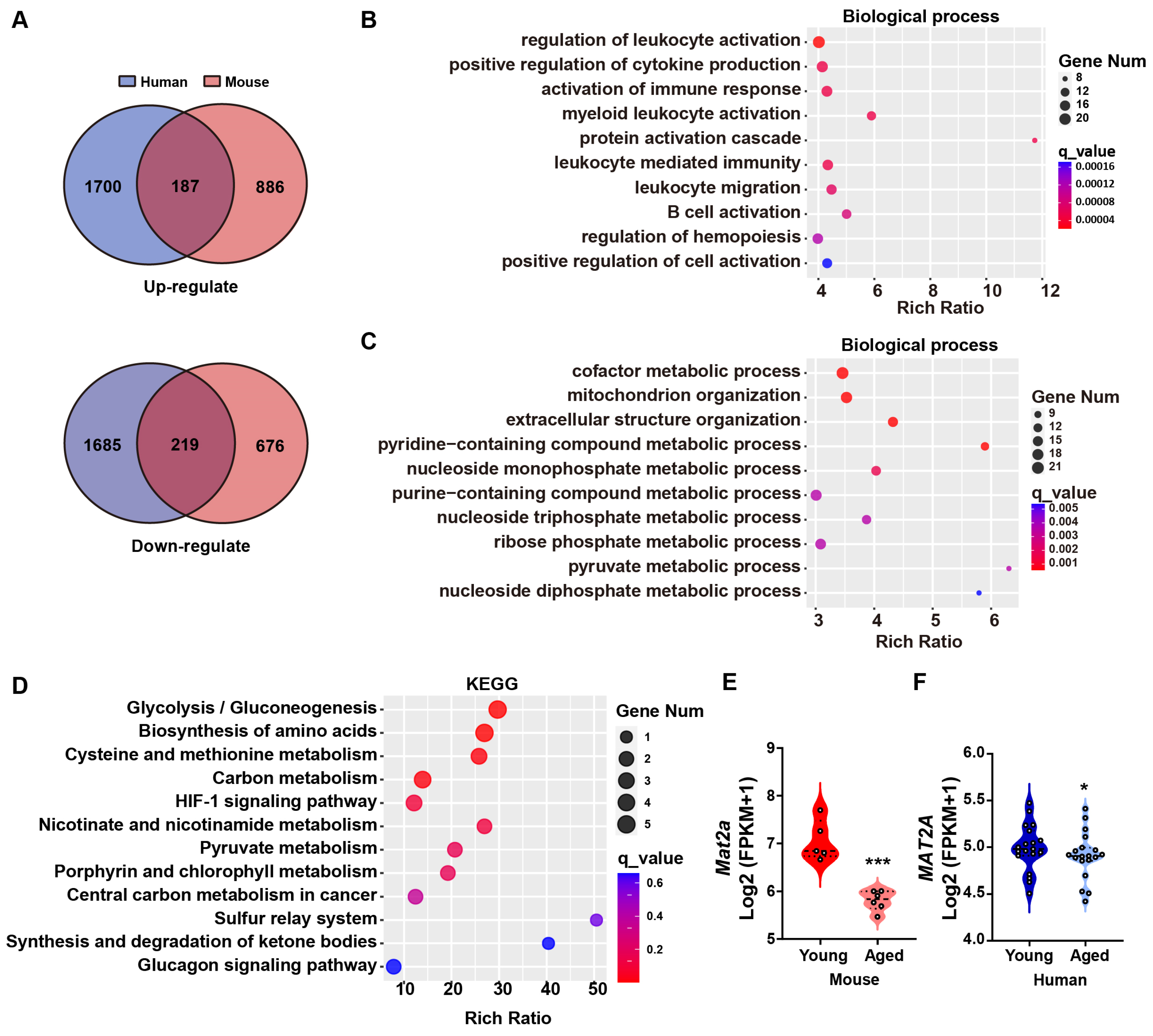 Biomolecules 14 01098 g001