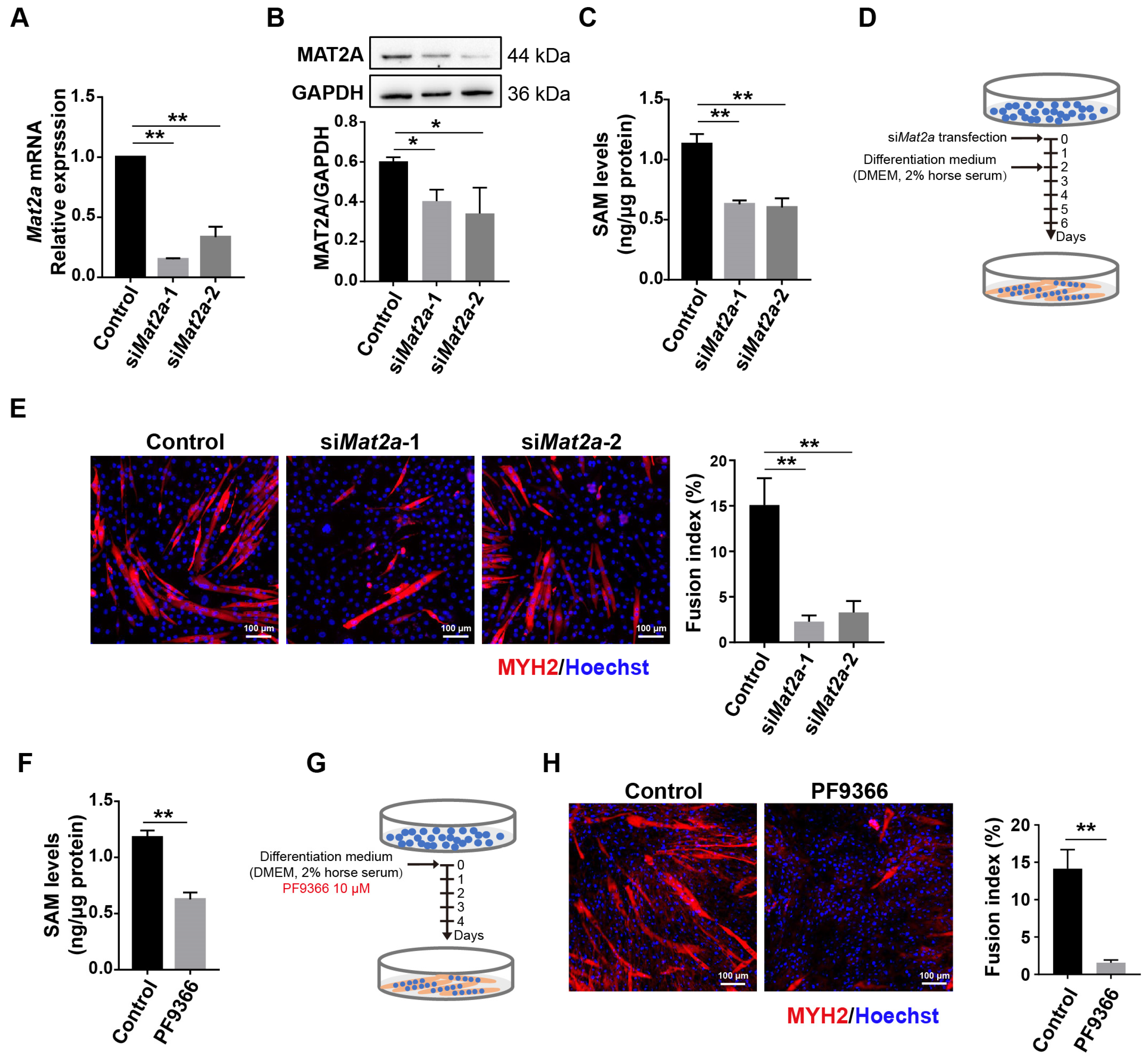 Biomolecules 14 01098 g002