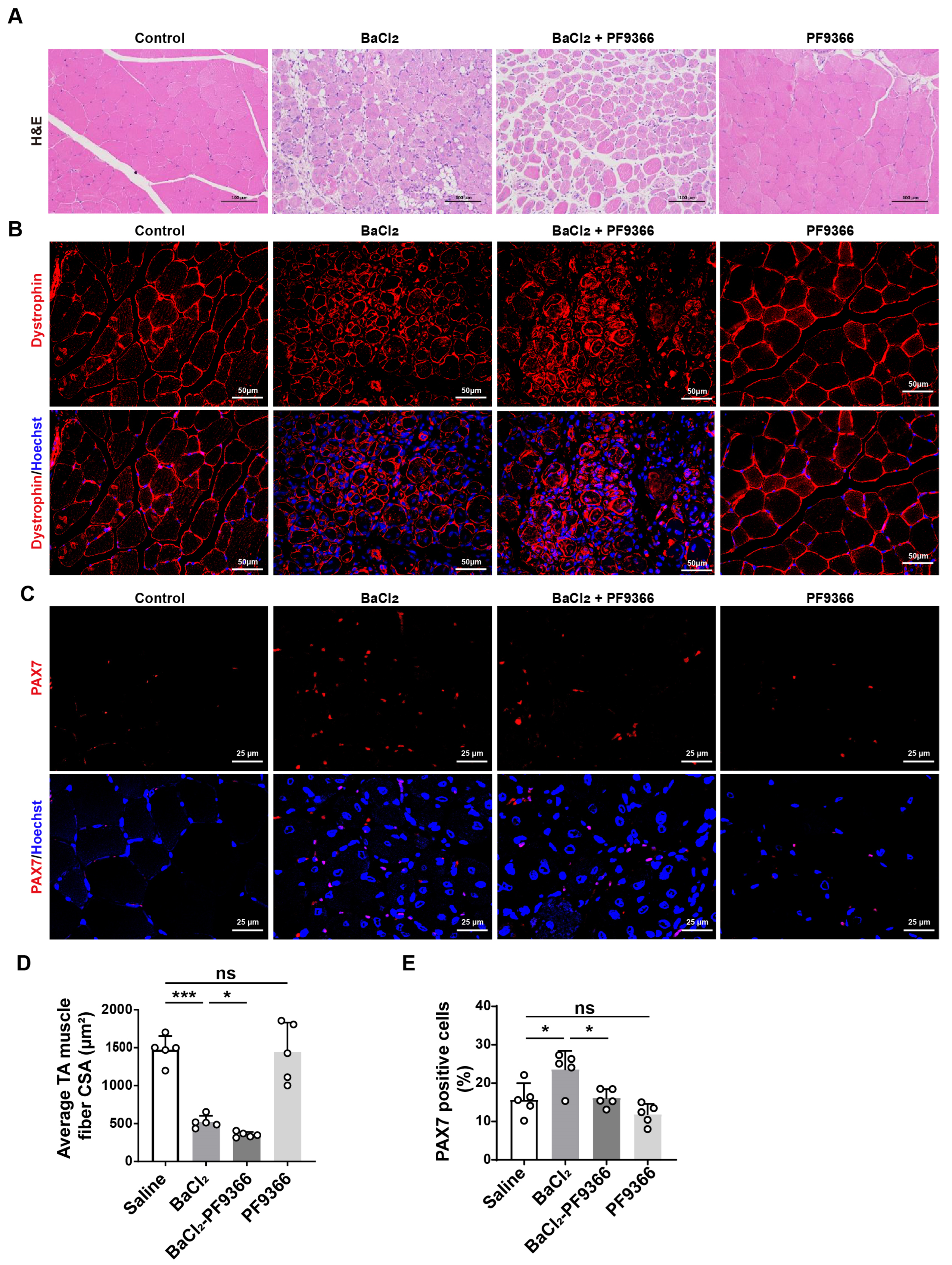 Biomolecules 14 01098 g003
