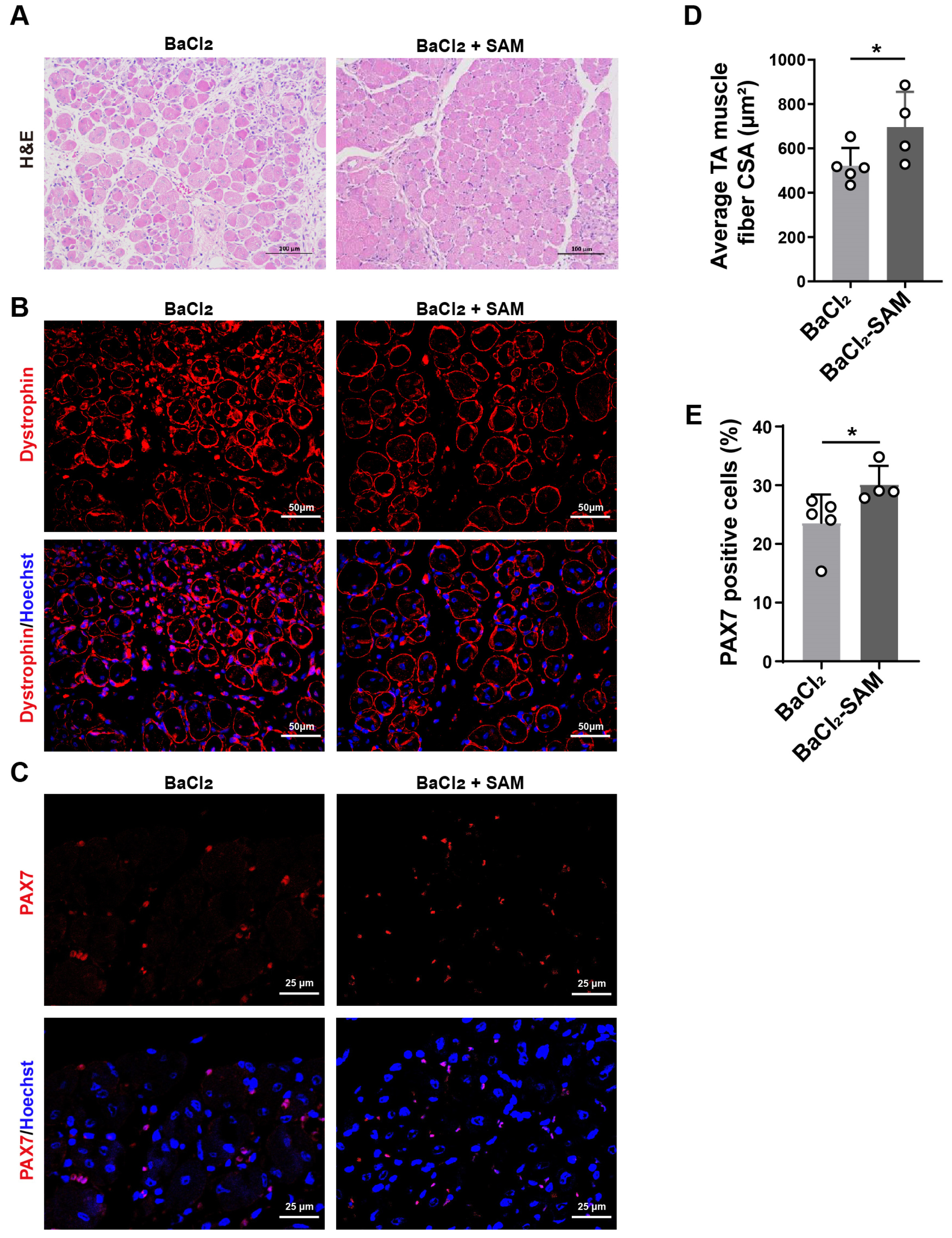 Biomolecules 14 01098 g004
